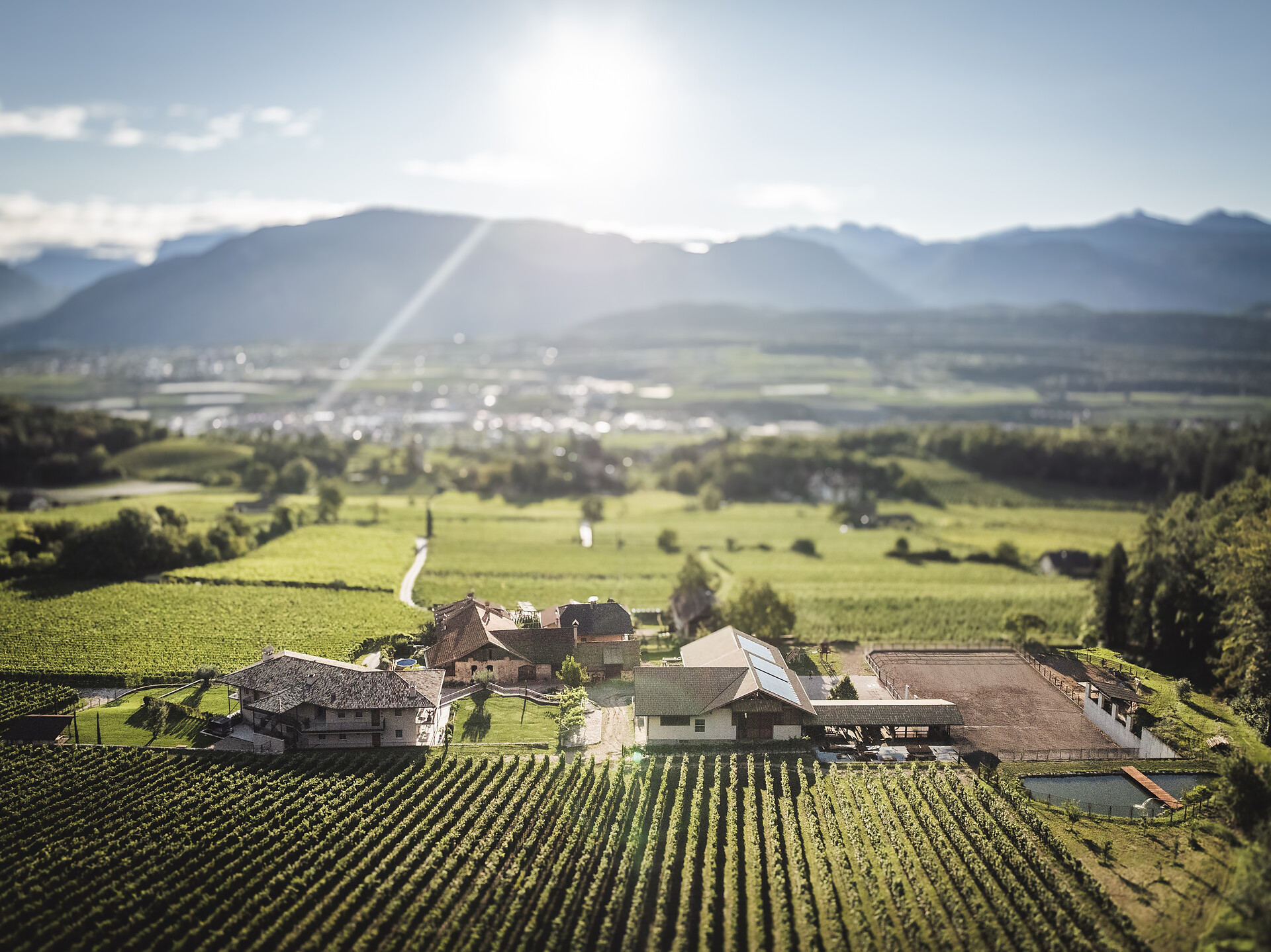 Nofnerhof Eppan an der Weinstaße/Appiano sulla Strada del Vino 3 suedtirol.info