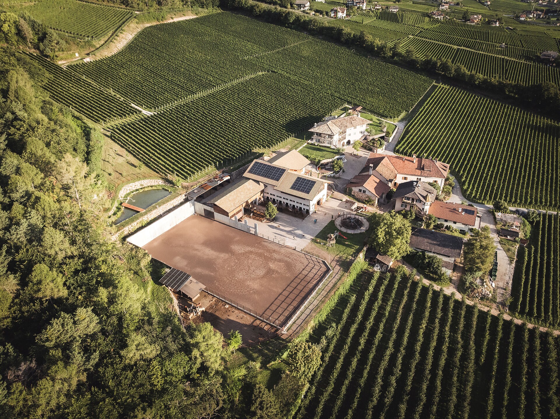 Nofnerhof Eppan an der Weinstaße/Appiano sulla Strada del Vino 8 suedtirol.info