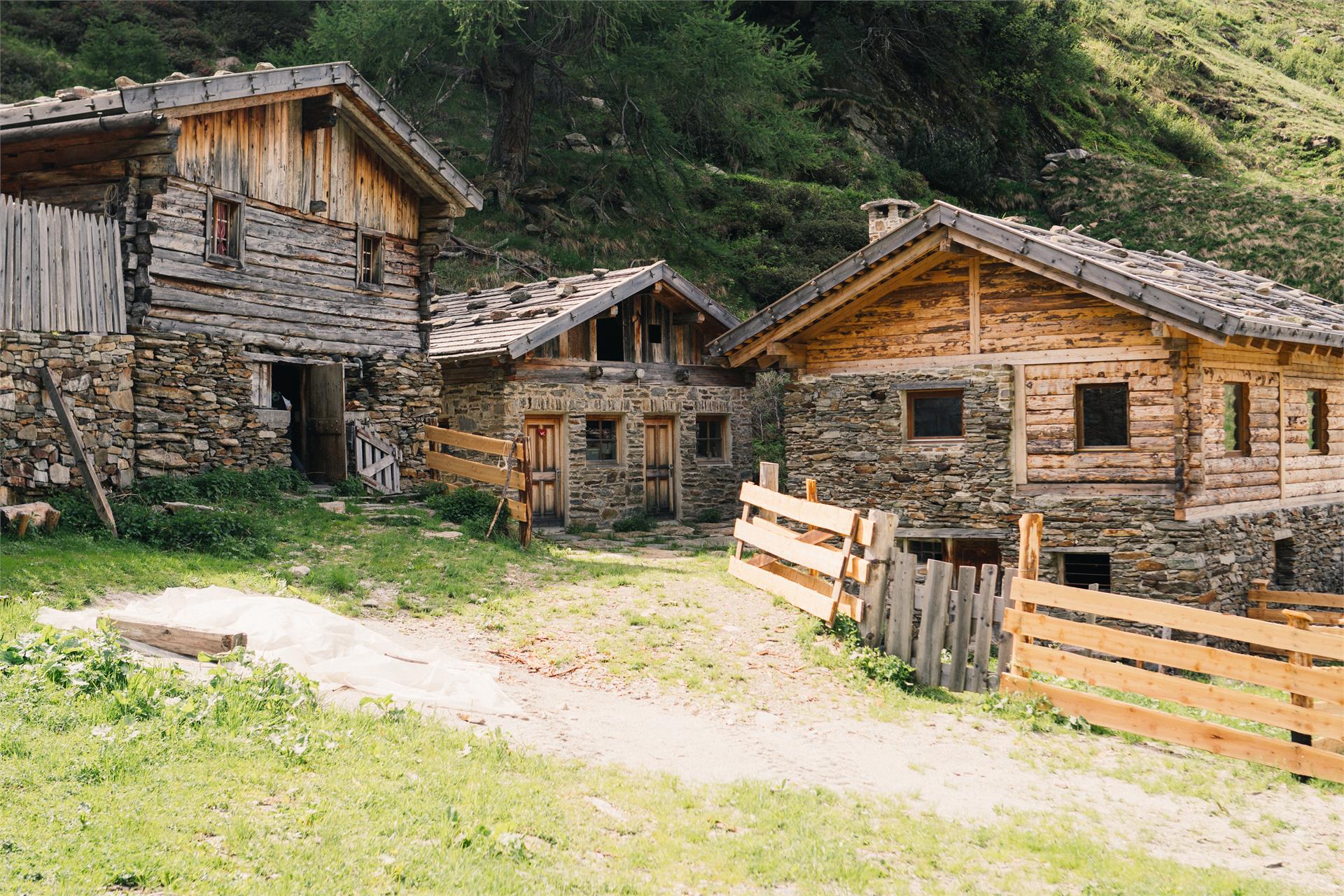 Hotel Natura Rainer Racines 18 suedtirol.info