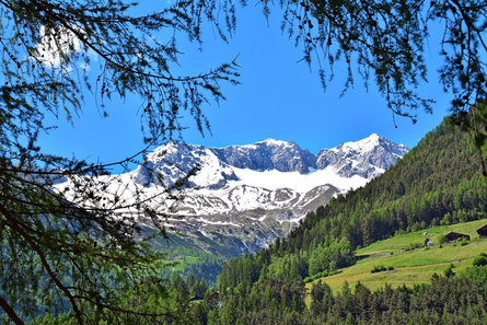 Niederkofler AlpenChalet Ahrntal/Valle Aurina 11 suedtirol.info