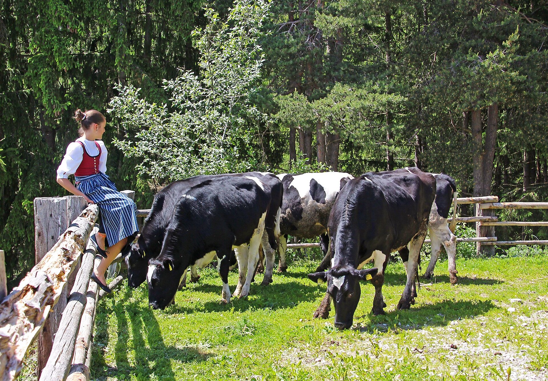 Niederhäusererhof Pfalzen 30 suedtirol.info