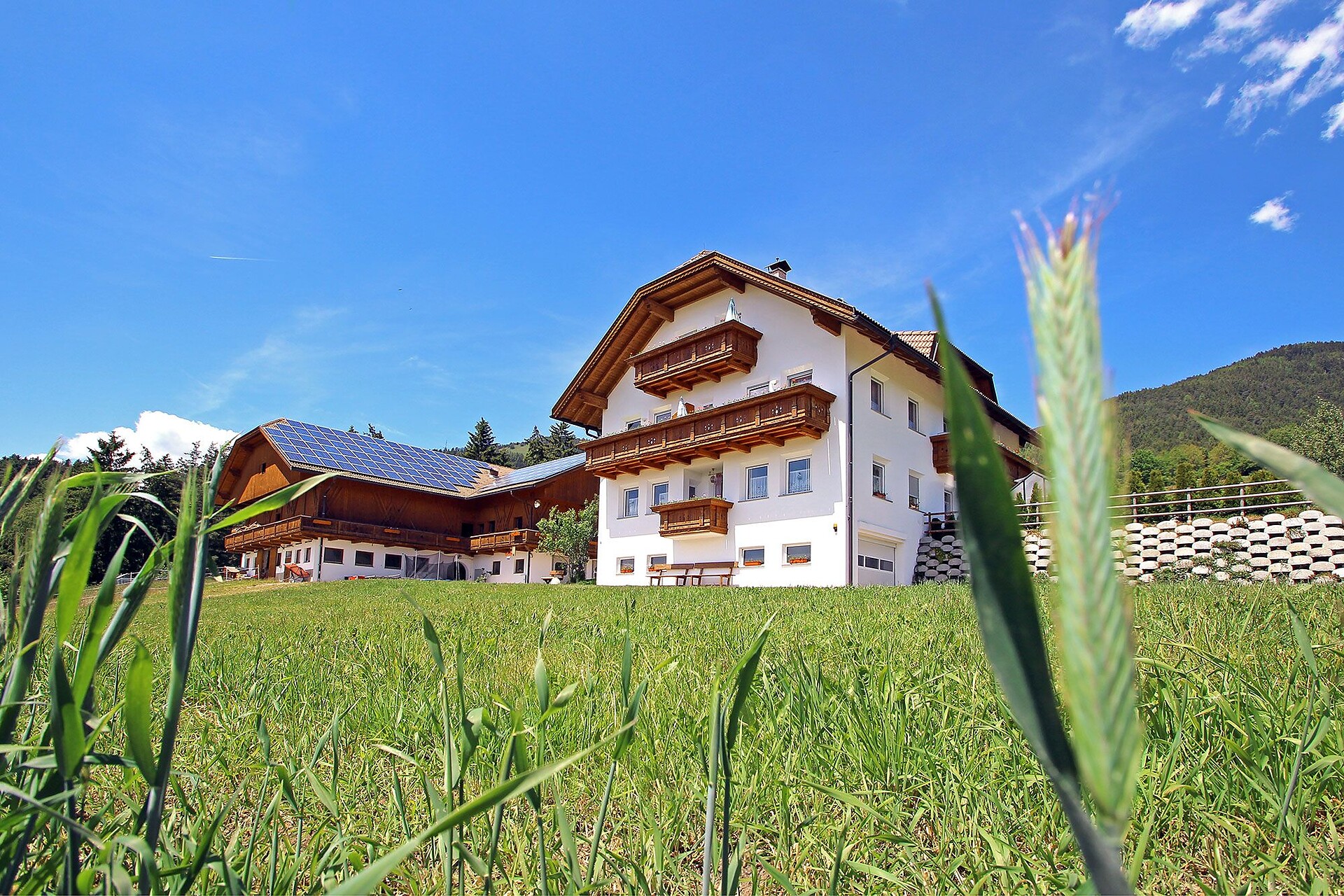 Niederhäusererhof Pfalzen 26 suedtirol.info