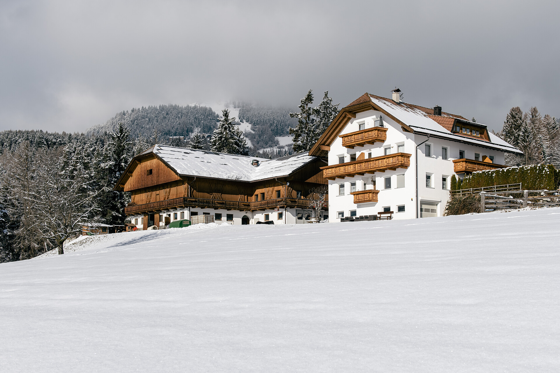 Niederhäusererhof Pfalzen 31 suedtirol.info
