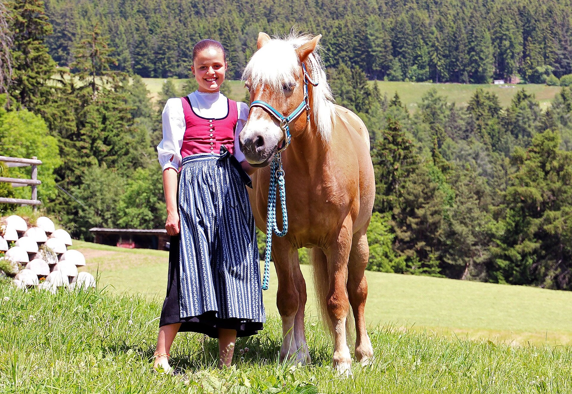 Niederhäusererhof Pfalzen 29 suedtirol.info