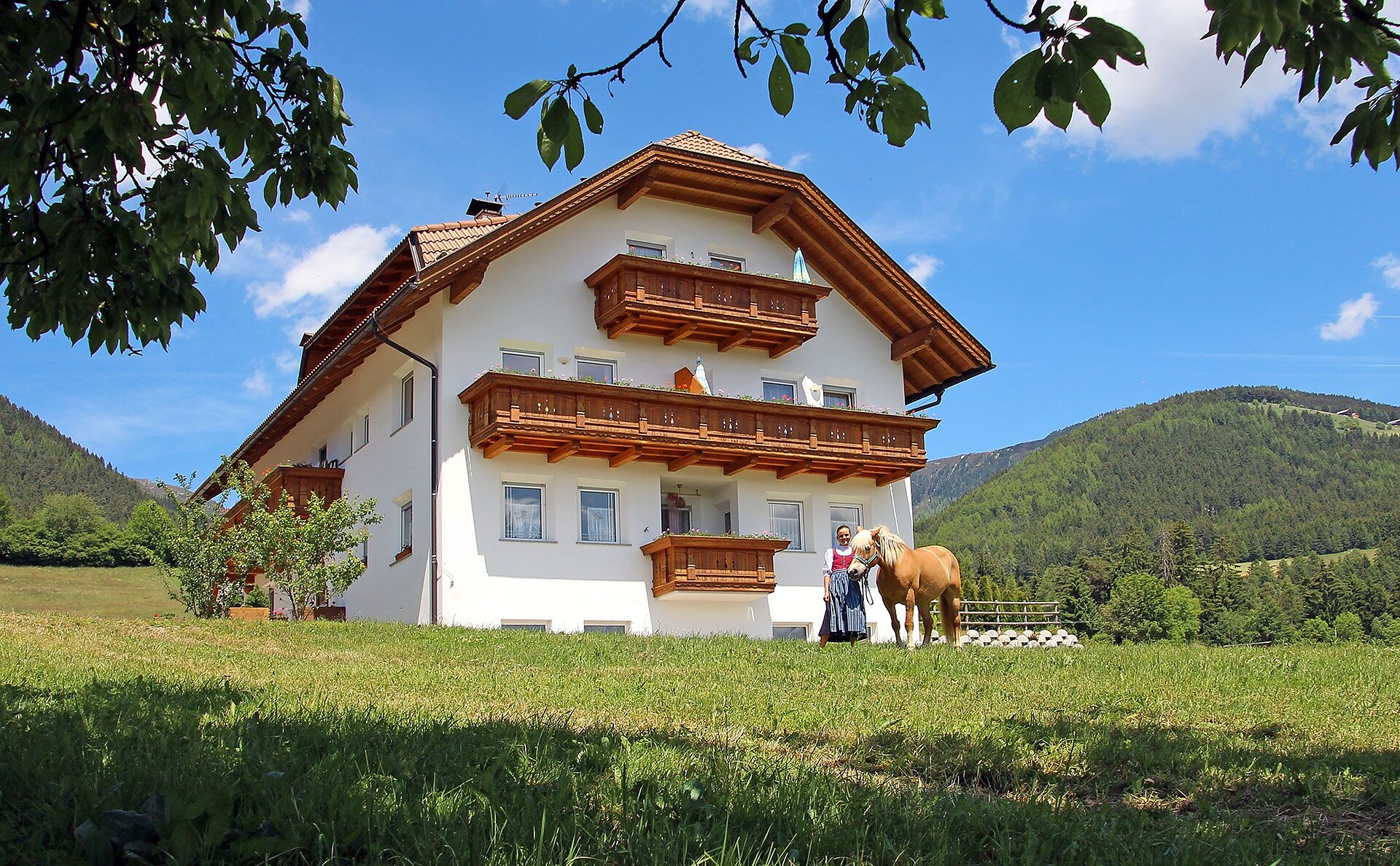 Niederhäusererhof Pfalzen 27 suedtirol.info