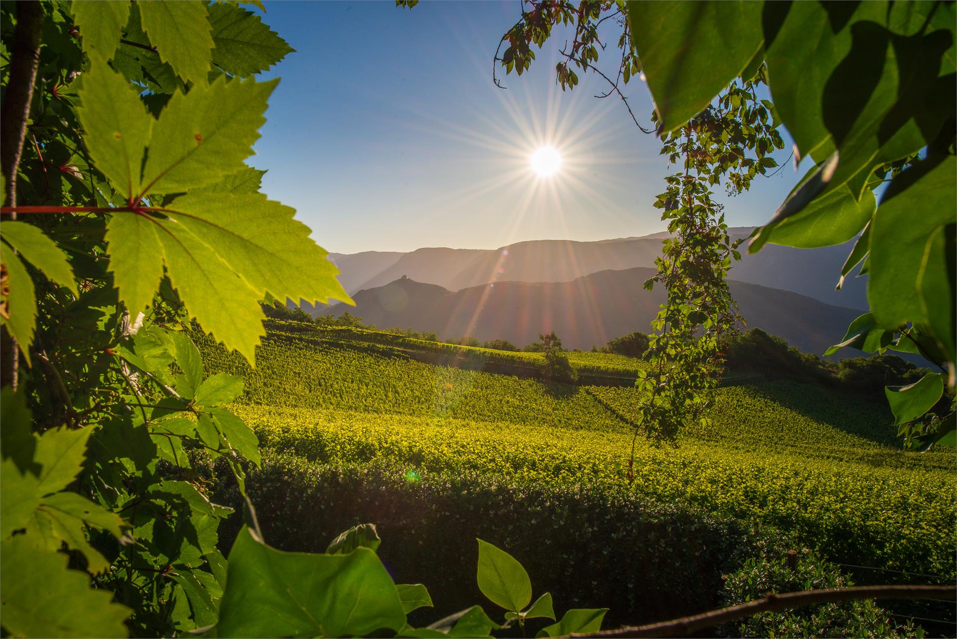 Nussbaumerhof Termeno sulla Strada del Vino 3 suedtirol.info