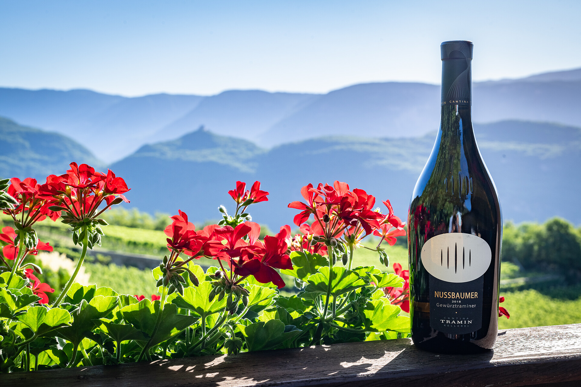 Inmezzo i vigneti