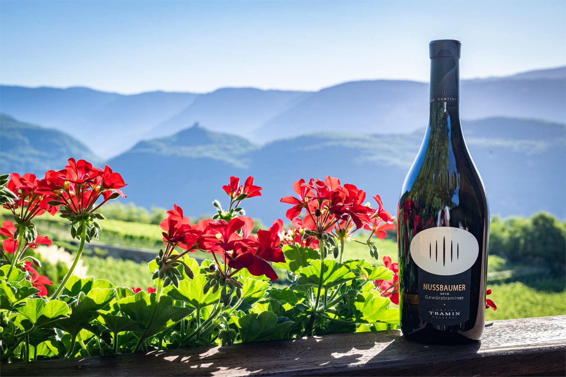 Nussbaumerhof Termeno sulla Strada del Vino 5 suedtirol.info