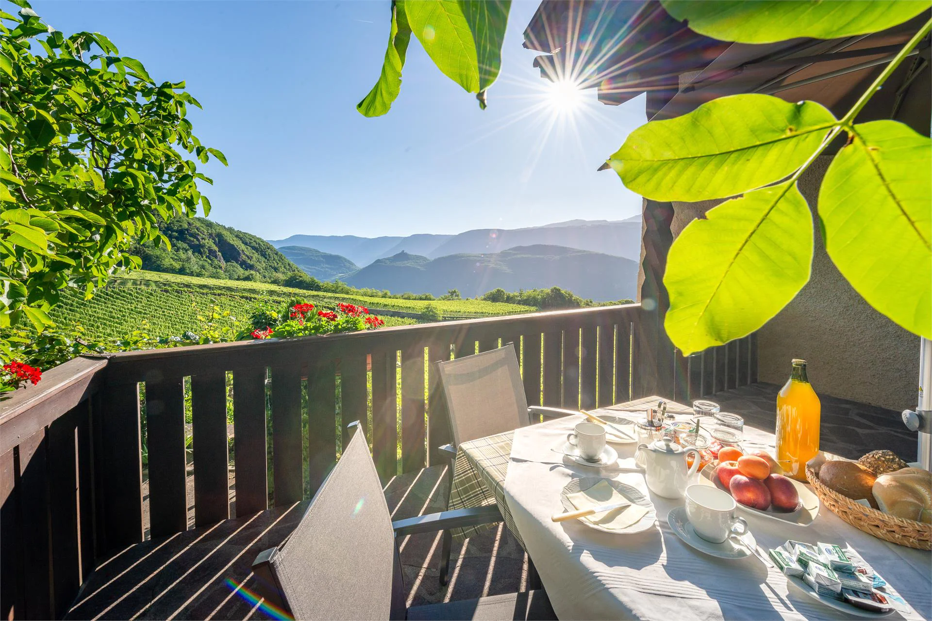 Nussbaumerhof Tramin an der Weinstraße/Termeno sulla Strada del Vino 6 suedtirol.info