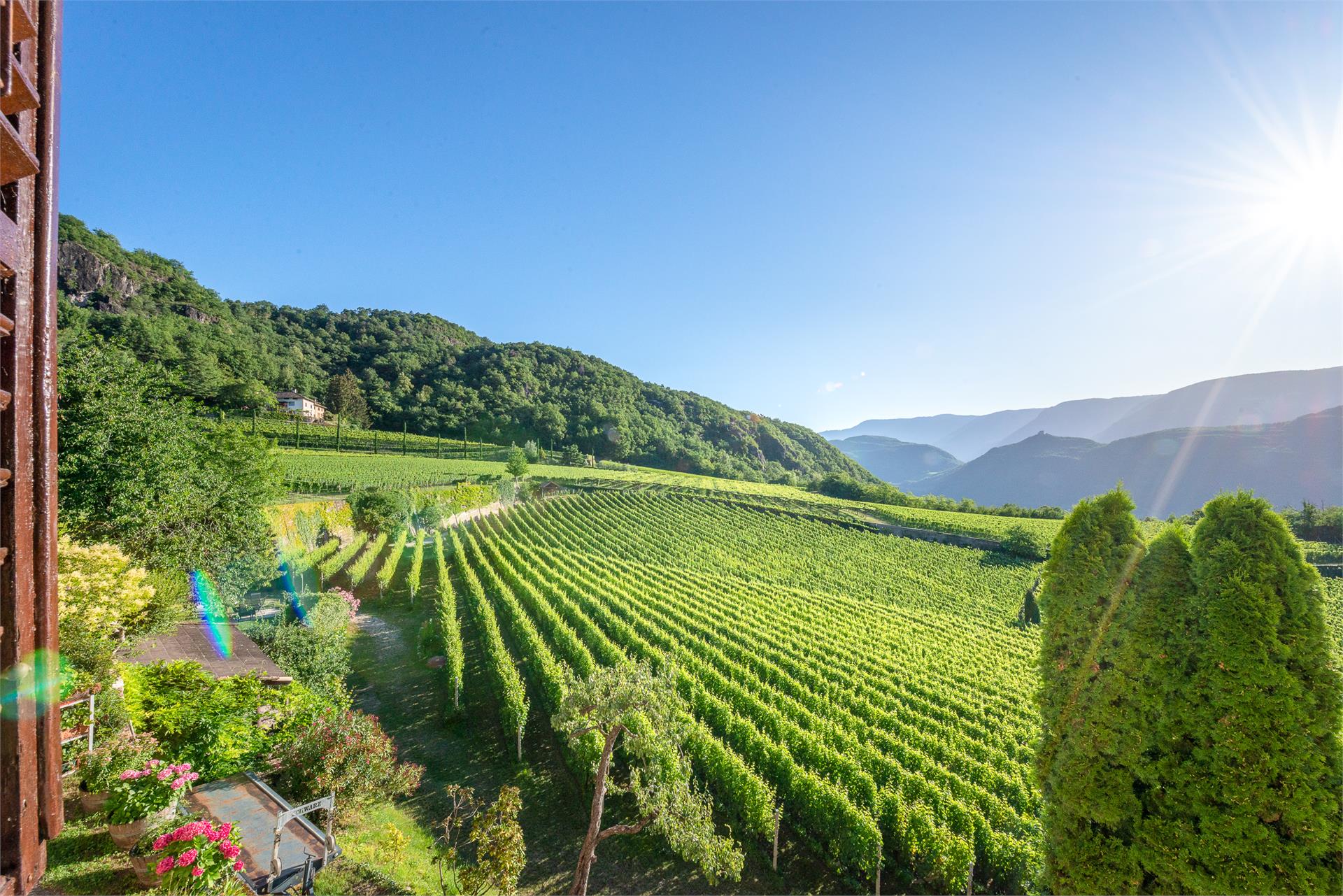 Nussbaumerhof Termeno sulla Strada del Vino 4 suedtirol.info