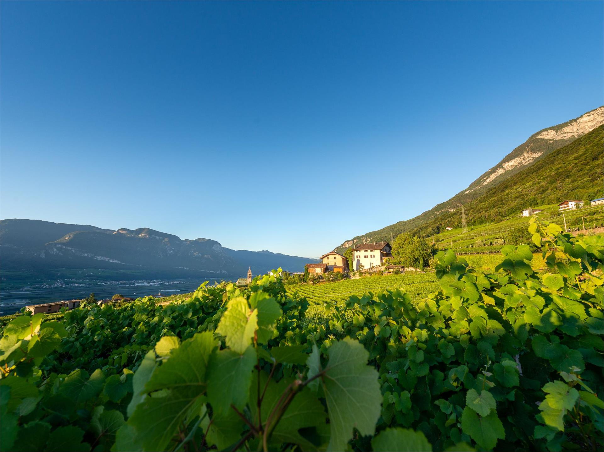 Nussbaumerhof Termeno sulla Strada del Vino 1 suedtirol.info