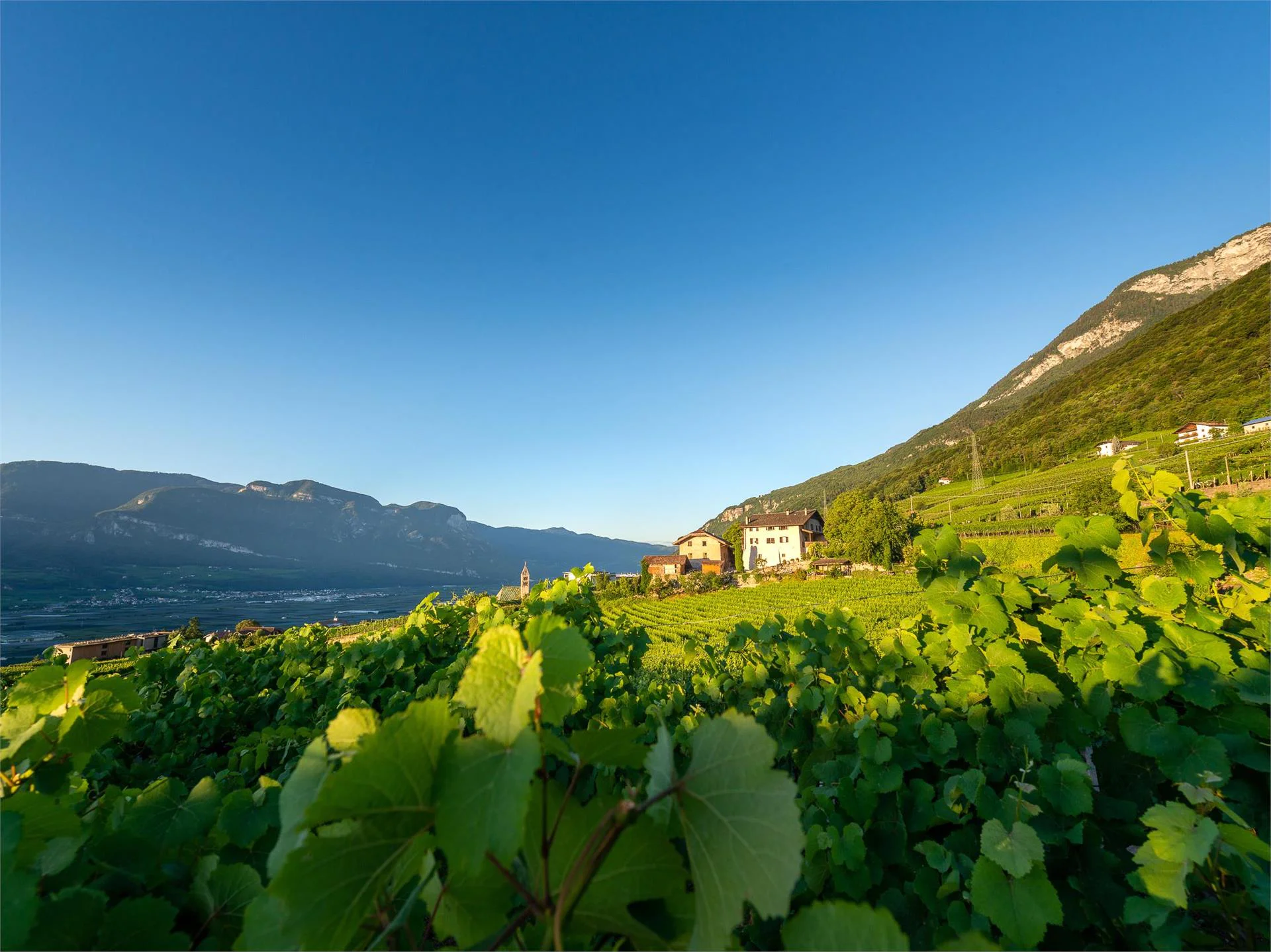 Nussbaumerhof Tramin an der Weinstraße/Termeno sulla Strada del Vino 1 suedtirol.info