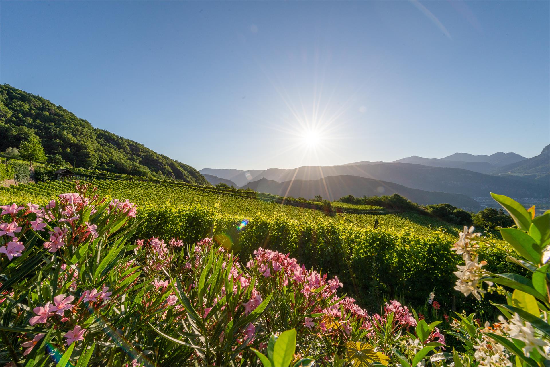 Nussbaumerhof Termeno sulla Strada del Vino 2 suedtirol.info