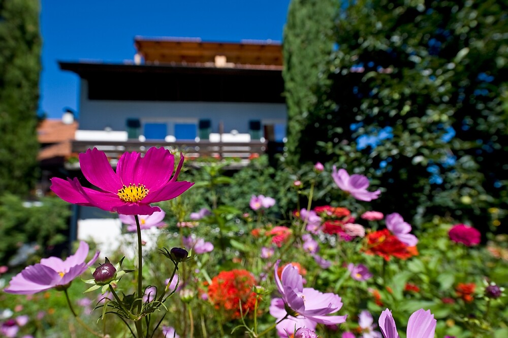 Appartamenti Neustöcklerhof