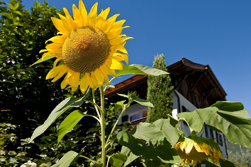Appartamenti Neustöcklerhof