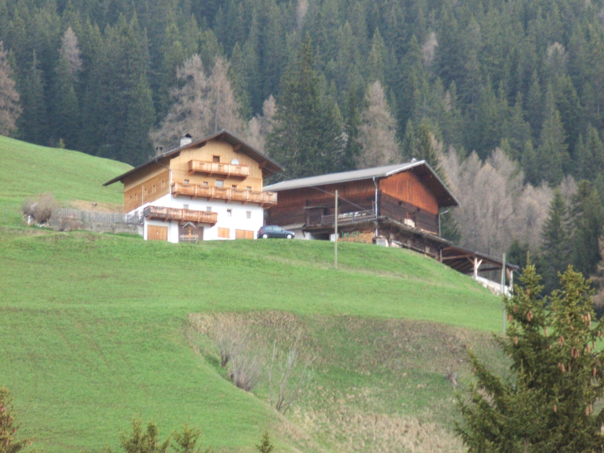 Naschthof - Regione dolomitica 3 Cime - #2 - suedtirol.info