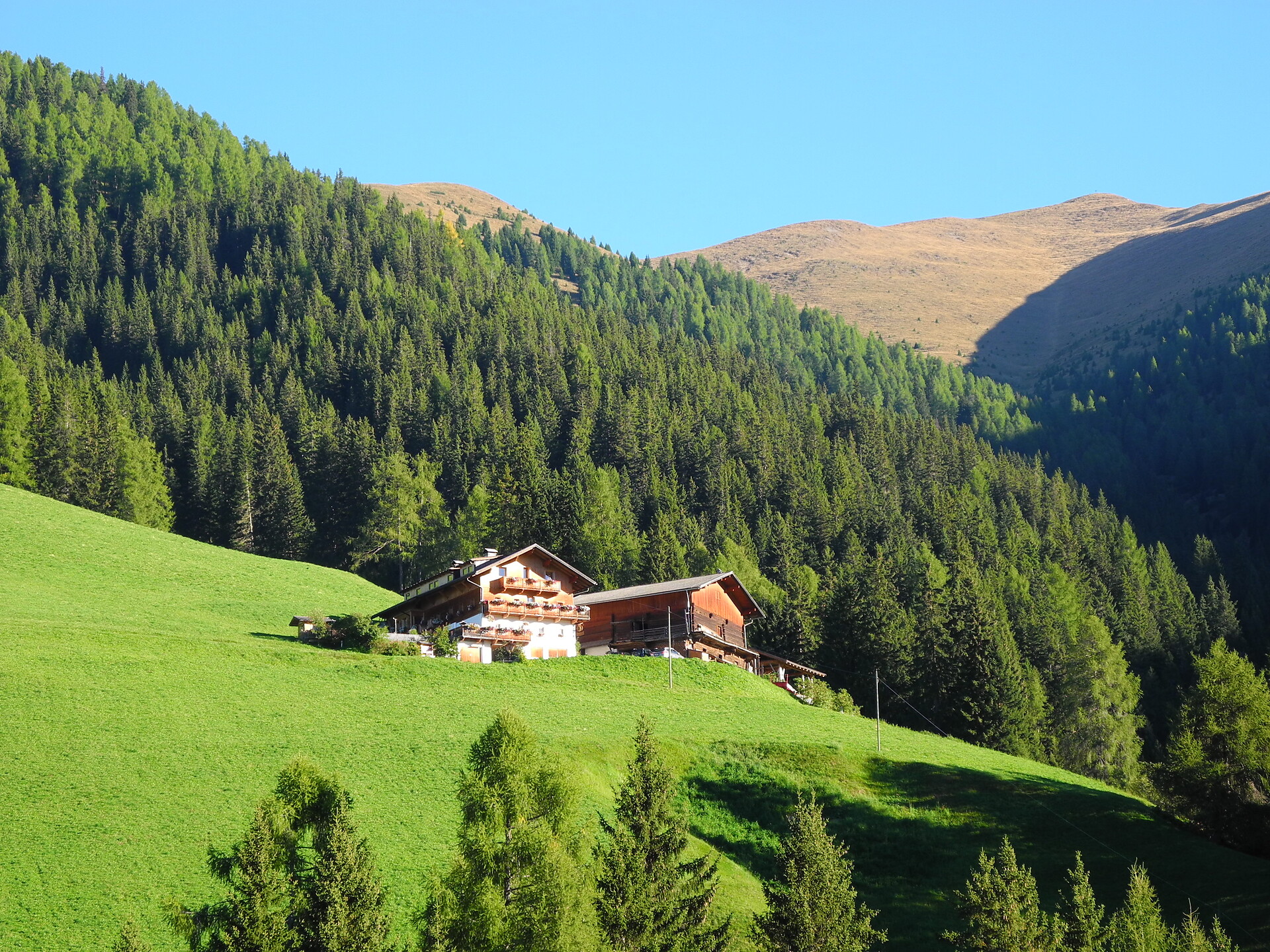 Naschthof