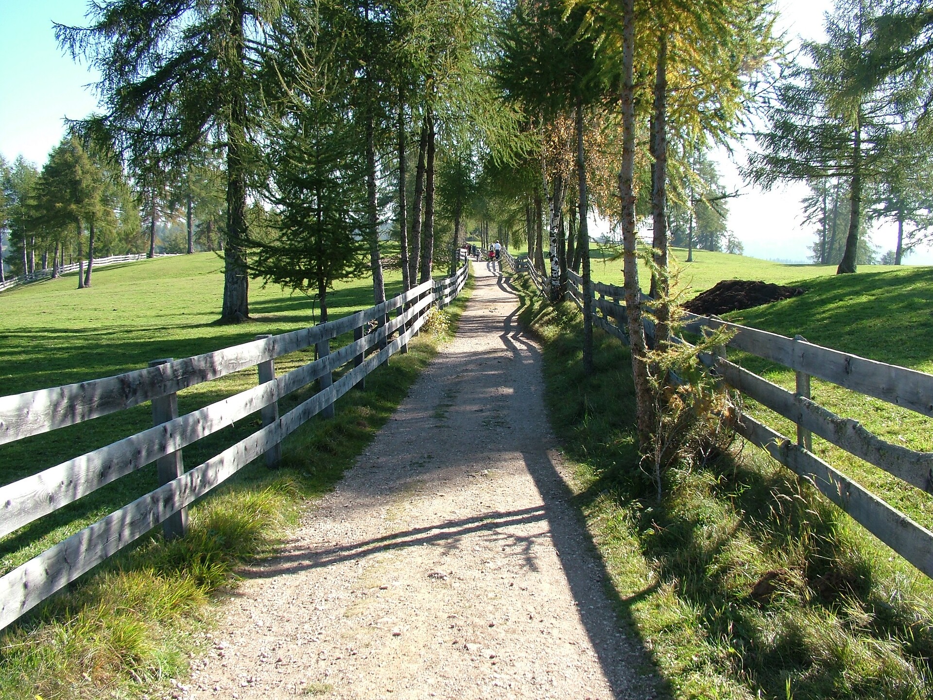 wandern