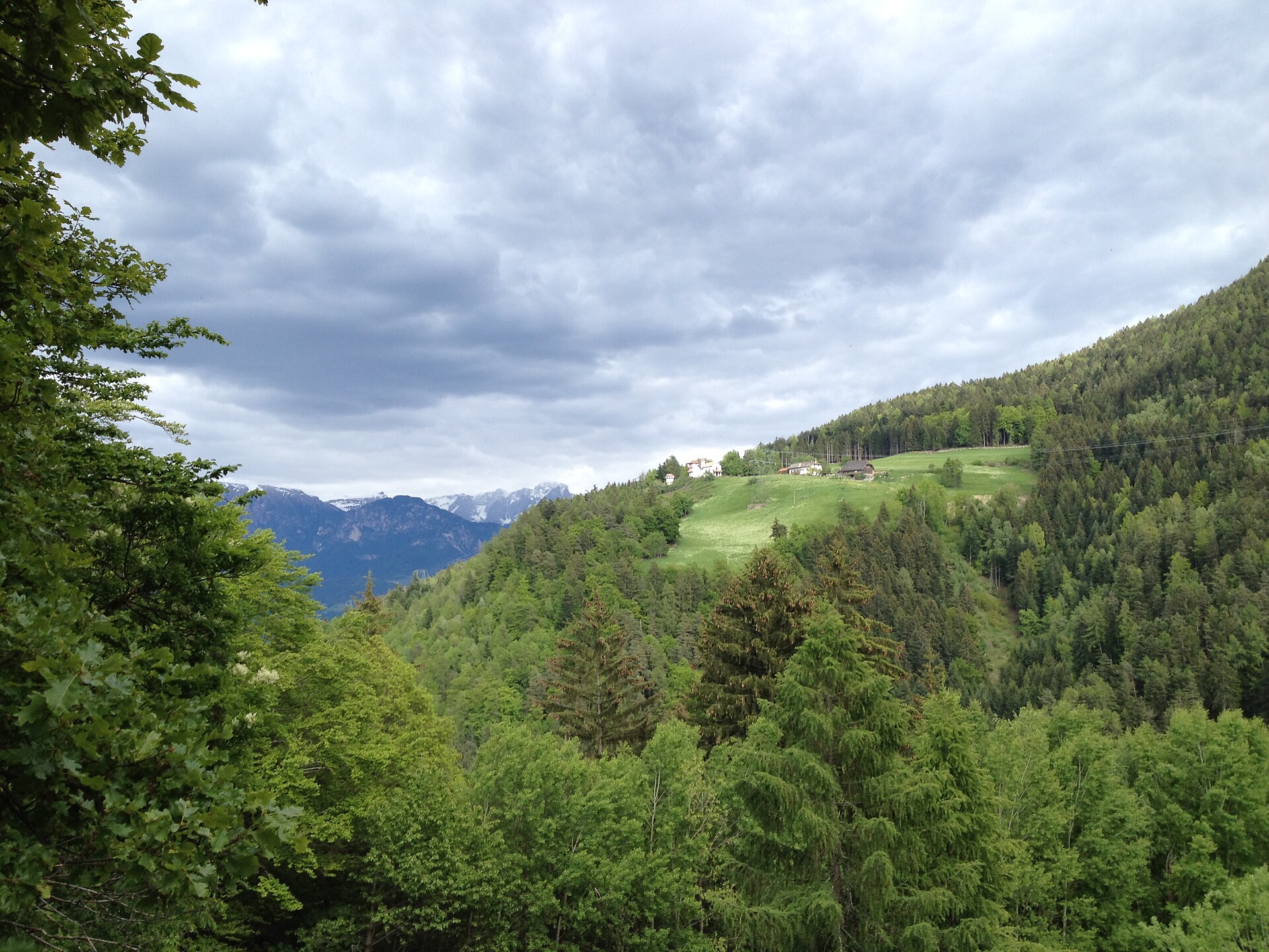 Panorama