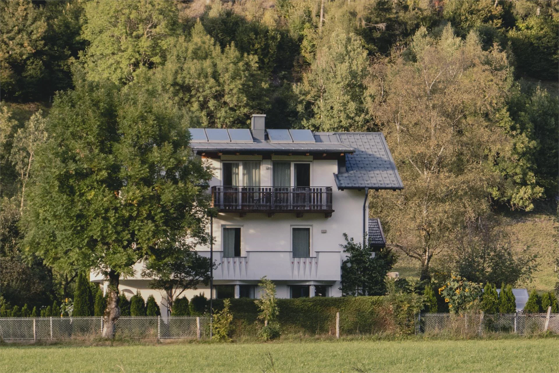 164 apt. Val di Vizze 12 suedtirol.info