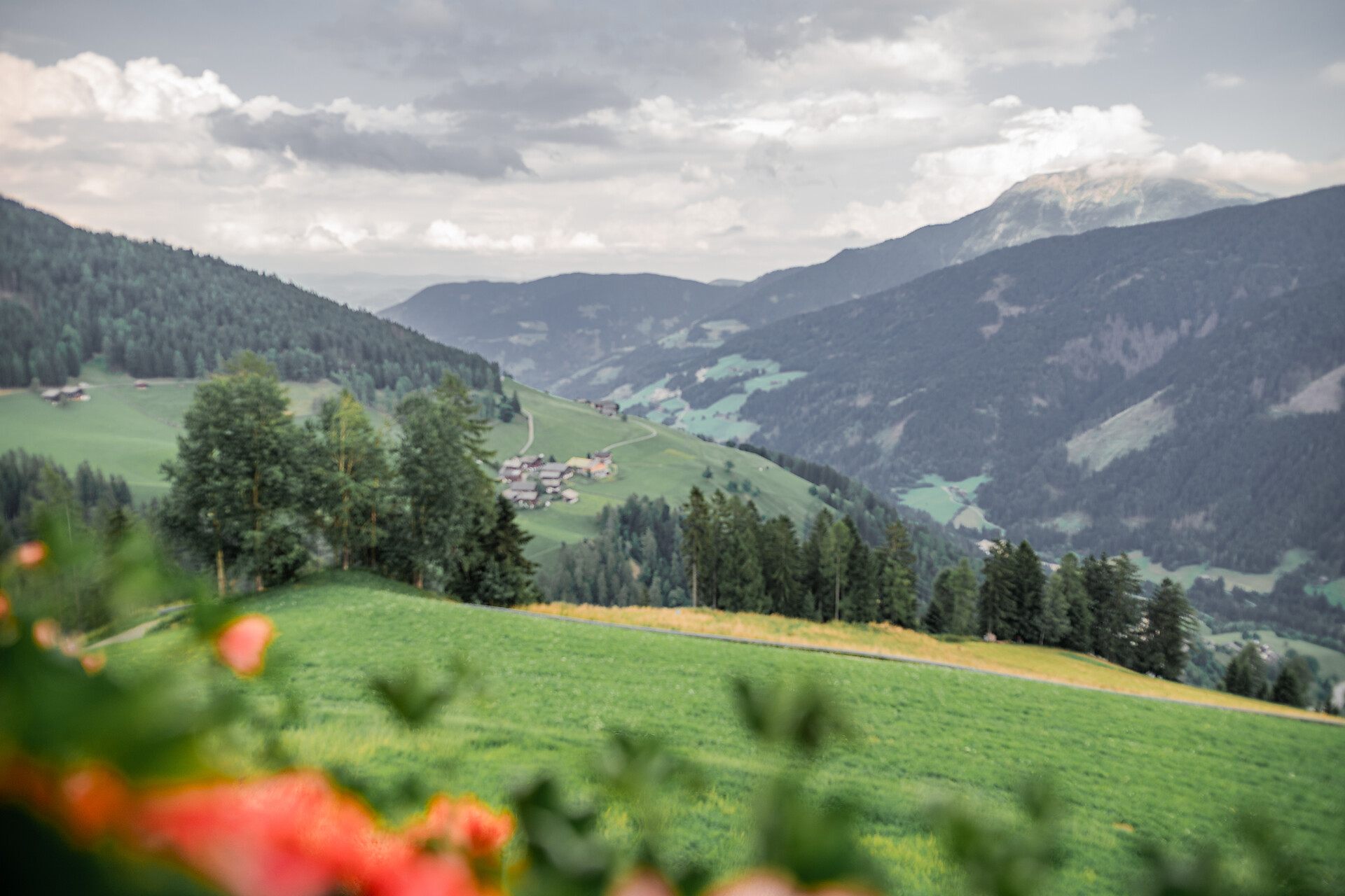 Oberhaushof - Meran und Umgebung - #10 - suedtirol.info