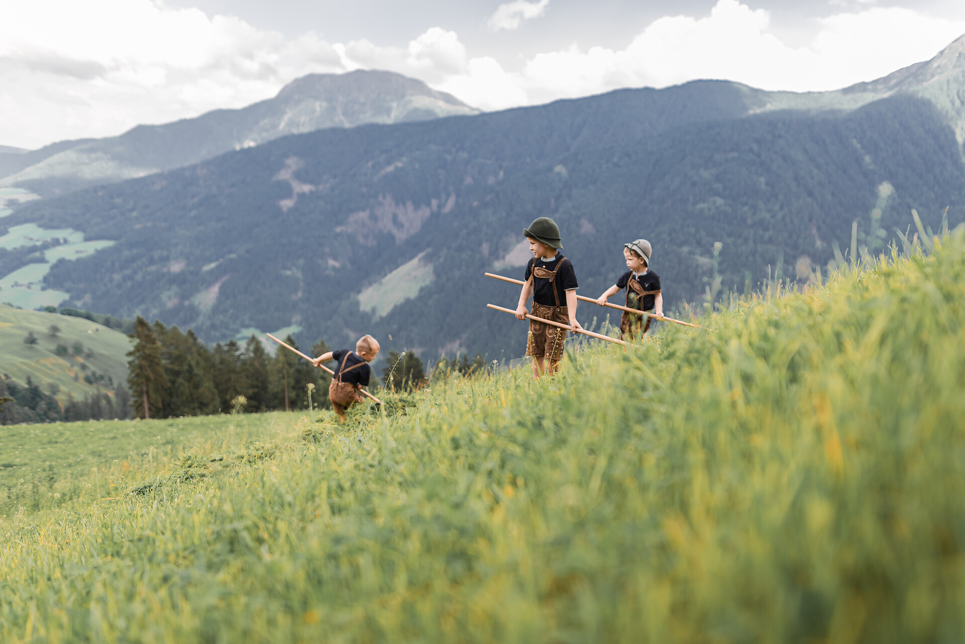 Oberhaushof - Meran und Umgebung - #6 - suedtirol.info