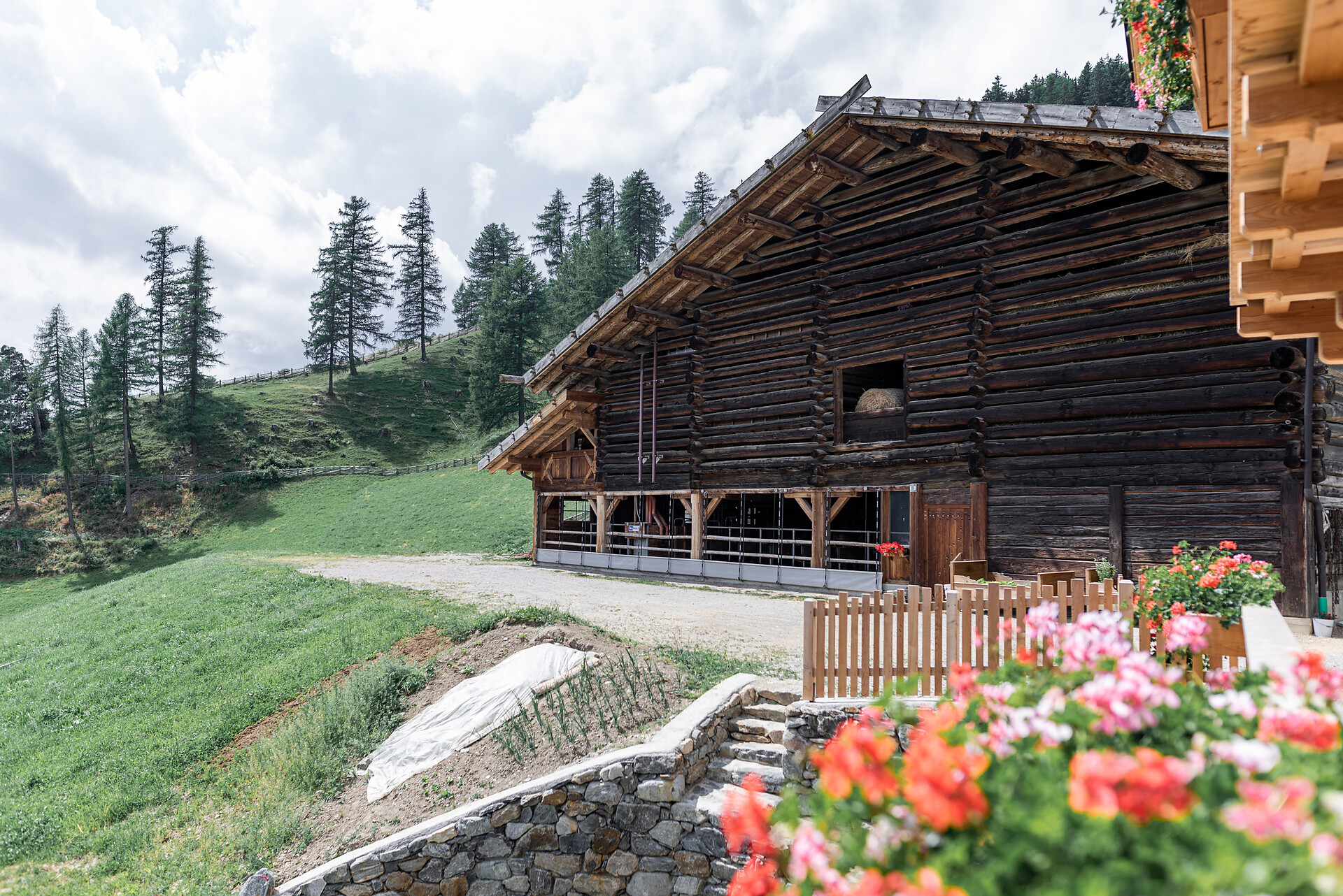 Oberhaushof - Meran und Umgebung - #9 - suedtirol.info