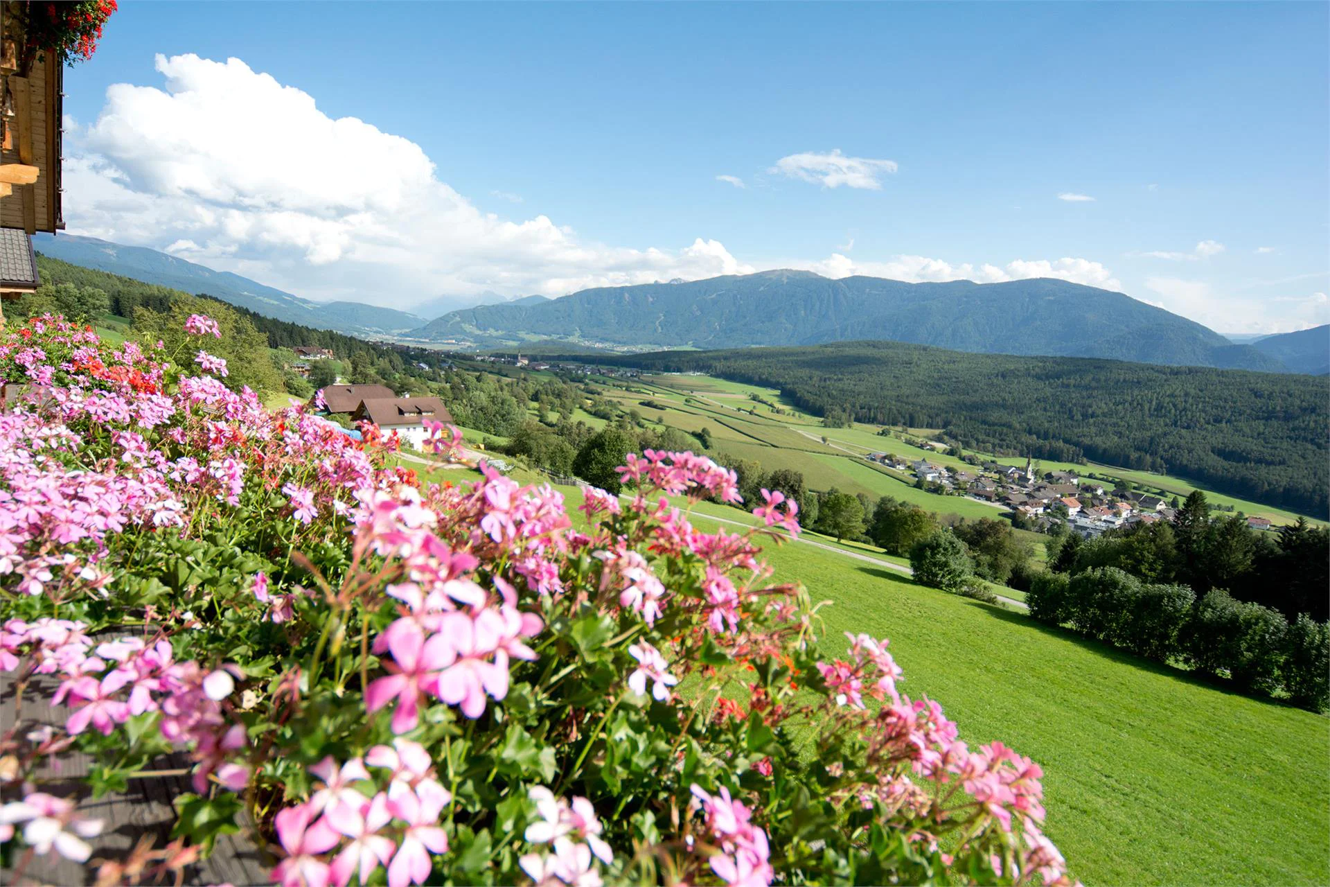 Oberbaumgartnerhof Pfalzen/Falzes 4 suedtirol.info