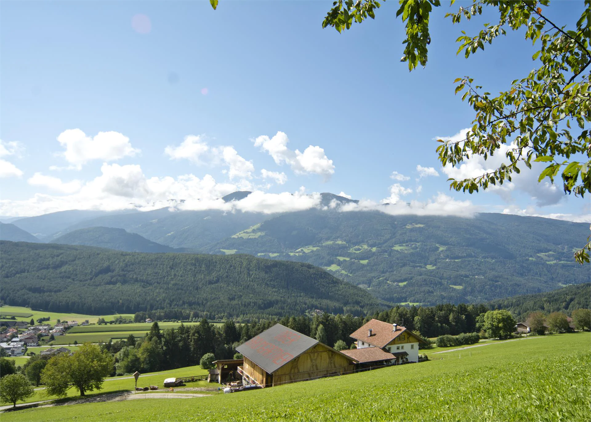 Oberbaumgartnerhof Pfalzen/Falzes 2 suedtirol.info