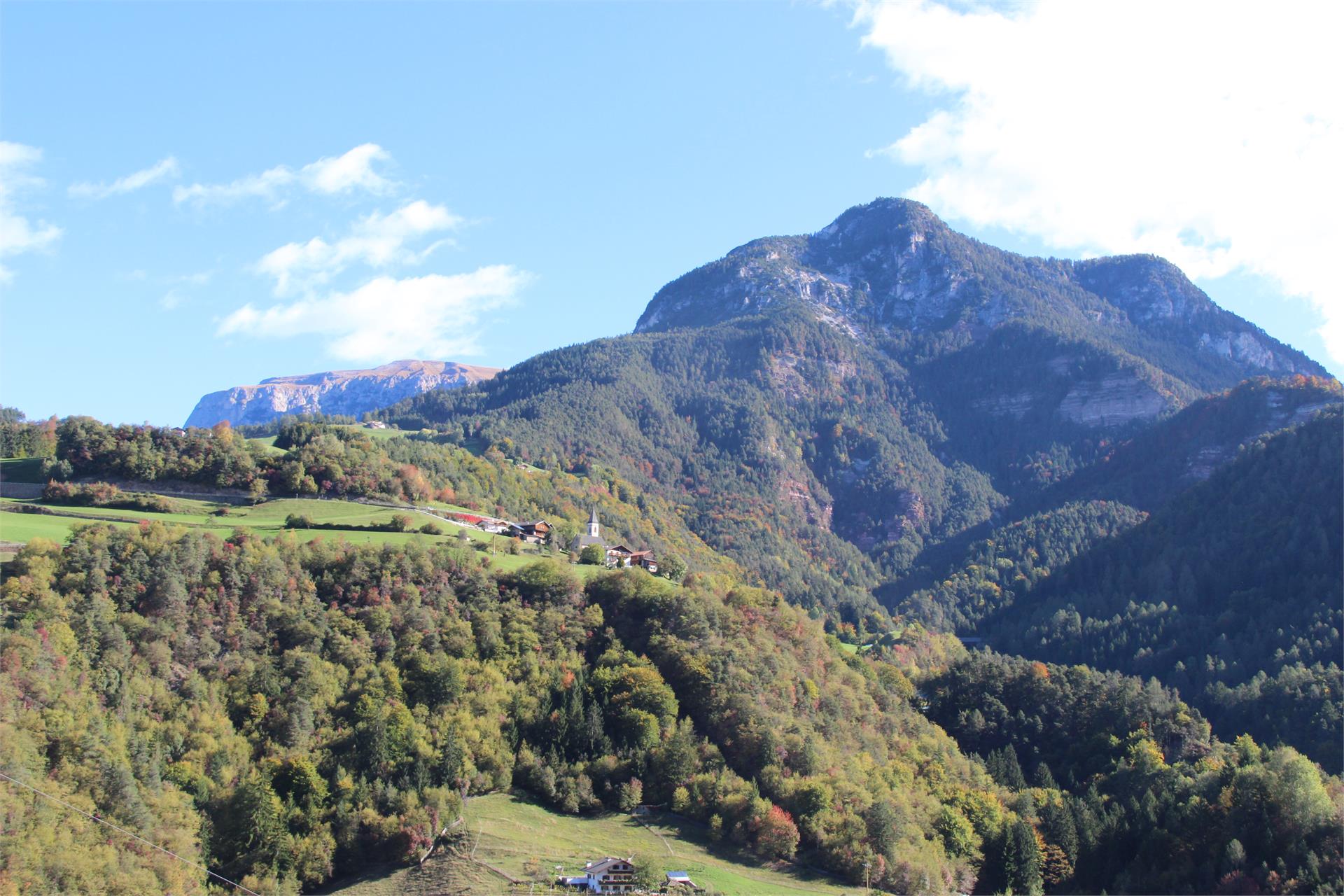 Oberparnaihof Karneid 4 suedtirol.info