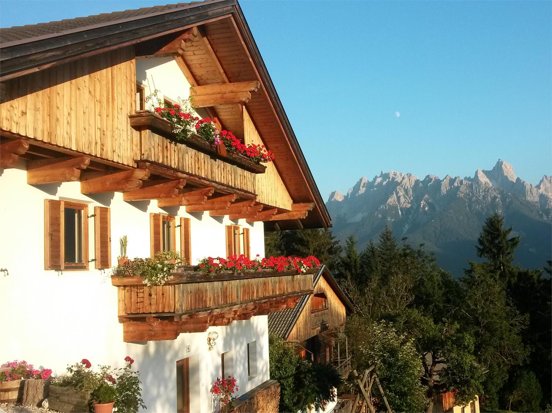 Oberthalmannhof Dobbiaco 1 suedtirol.info