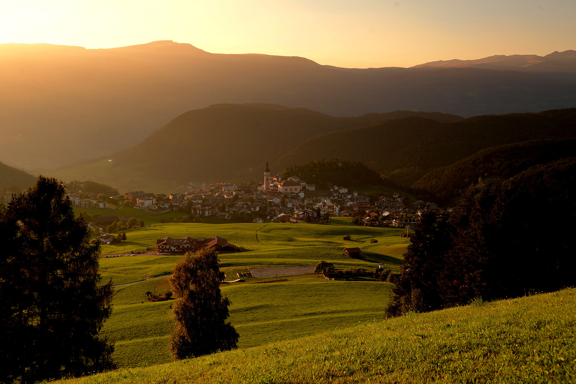 Vista