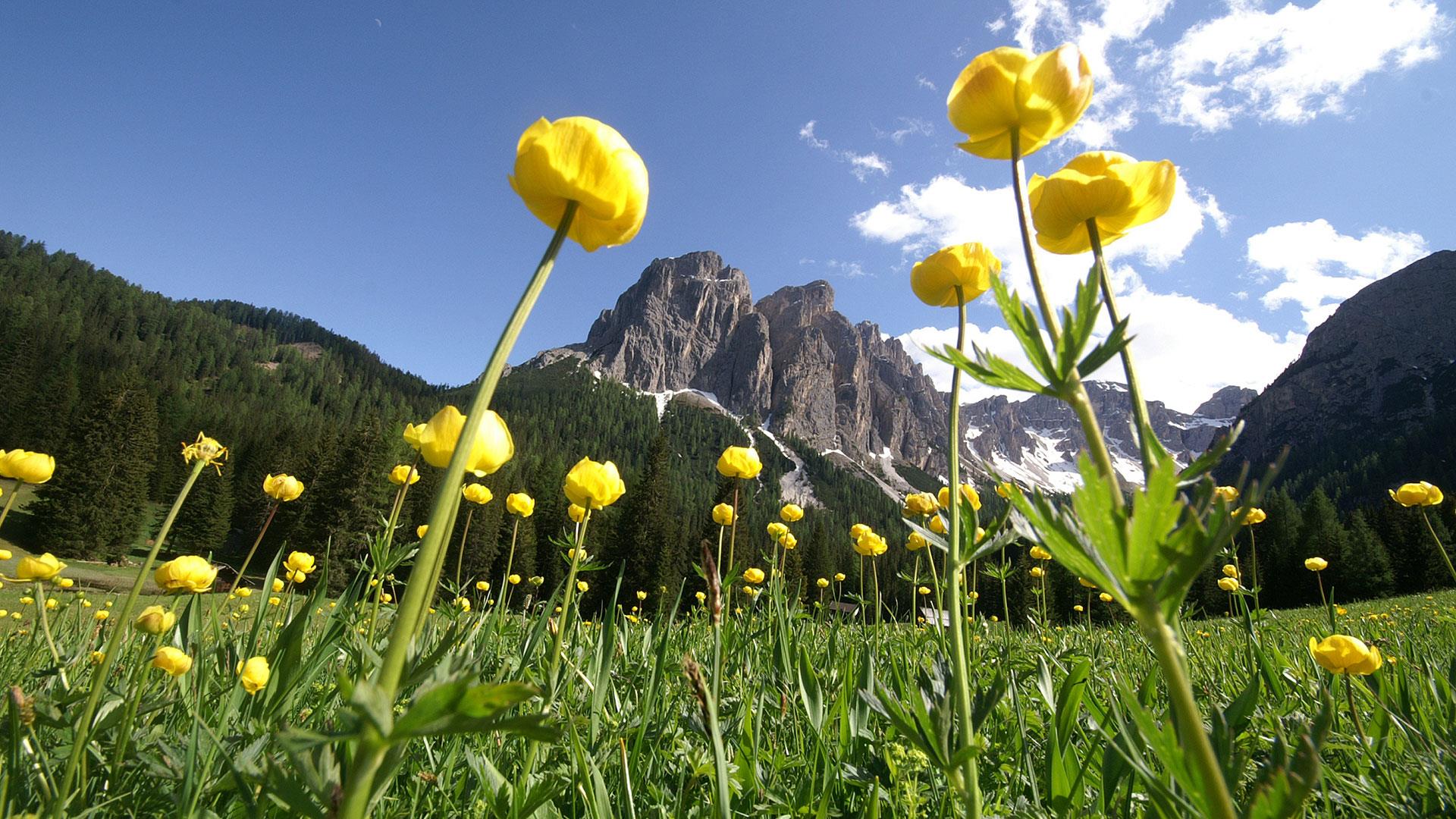 Obkircher Dietmar Welschnofen 20 suedtirol.info