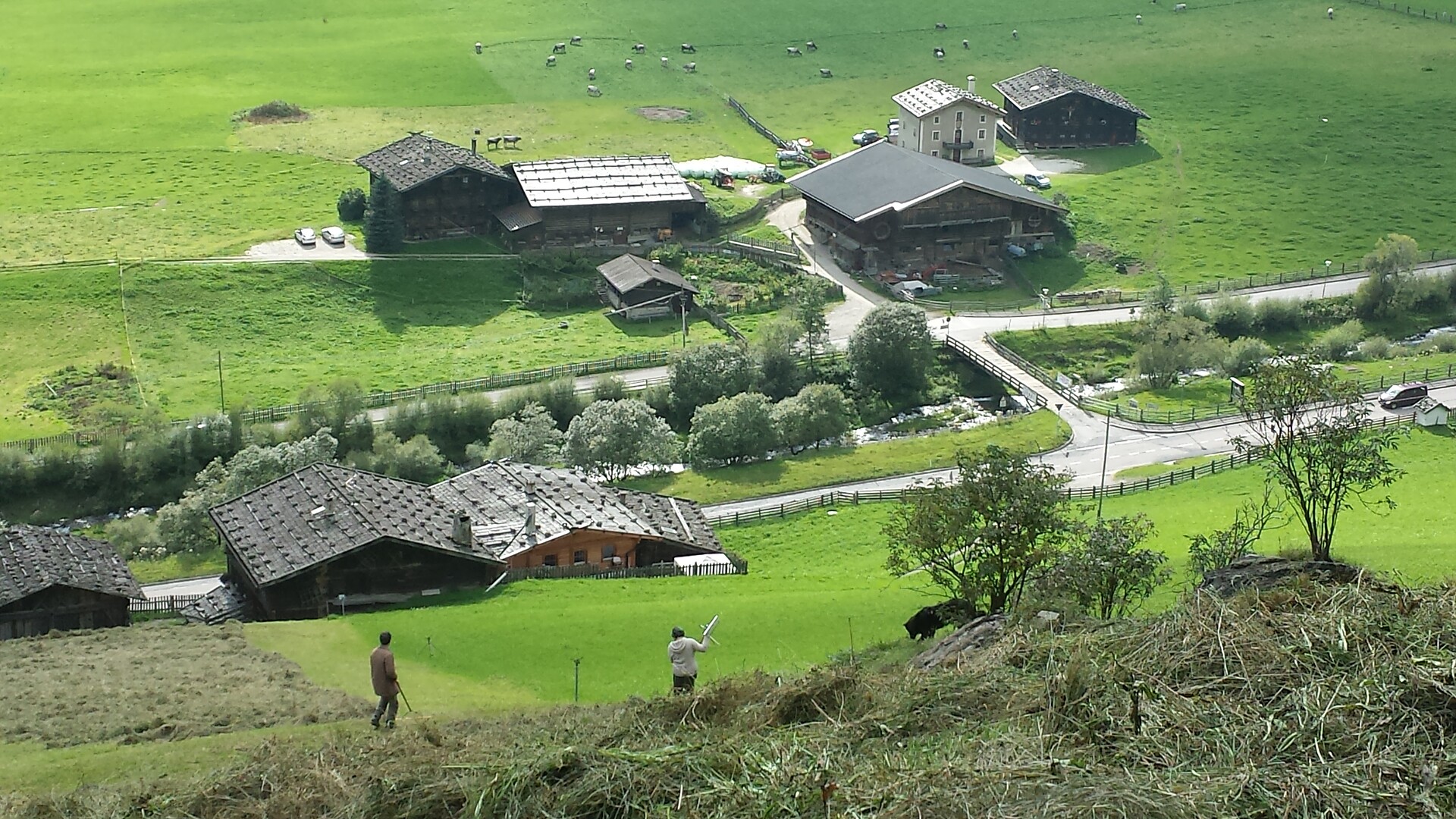 Hofkomplex in Vogelperspektive