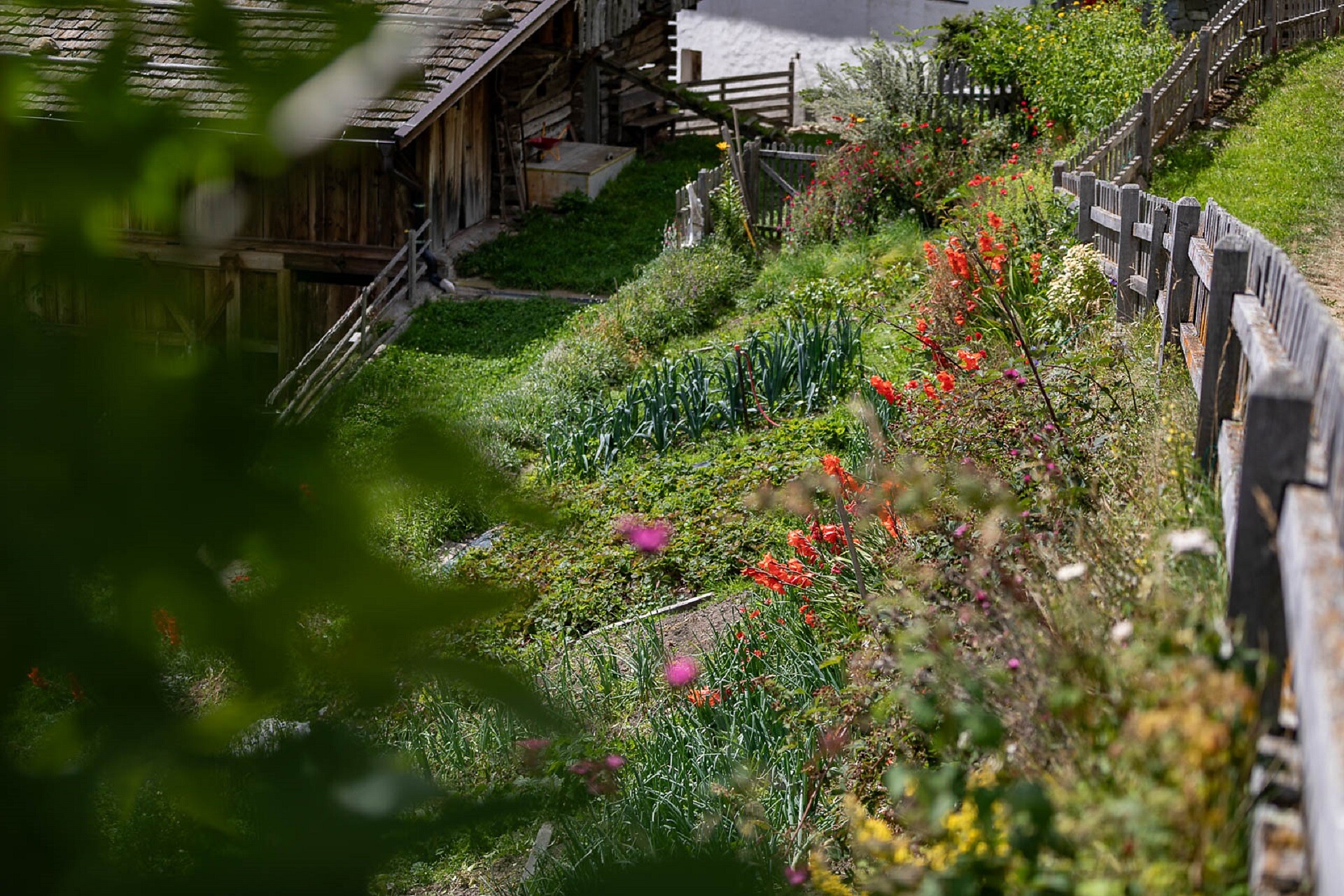 Garten