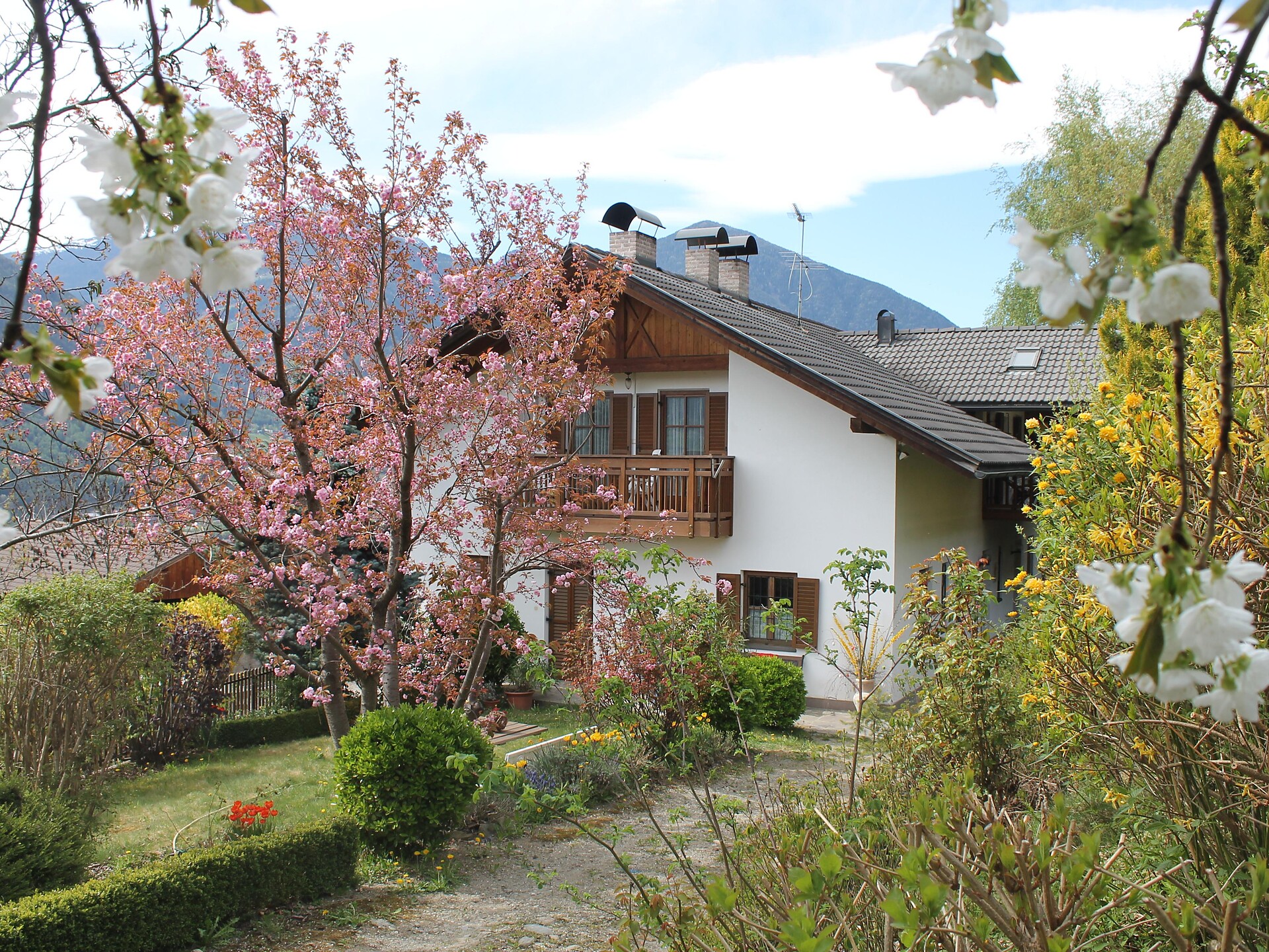 Maso "Obertörgglerhof" - Bressanone e dintorni - #1 - suedtirol.info