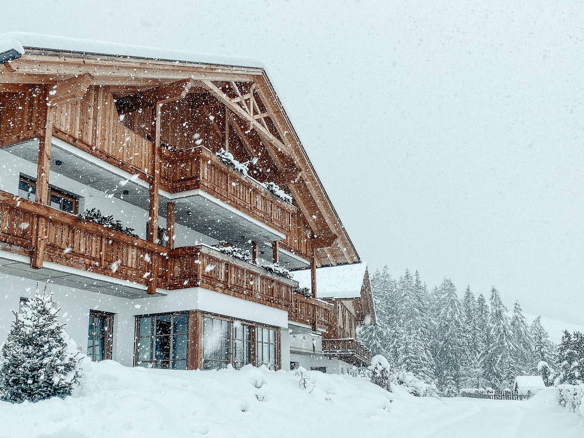Winter
