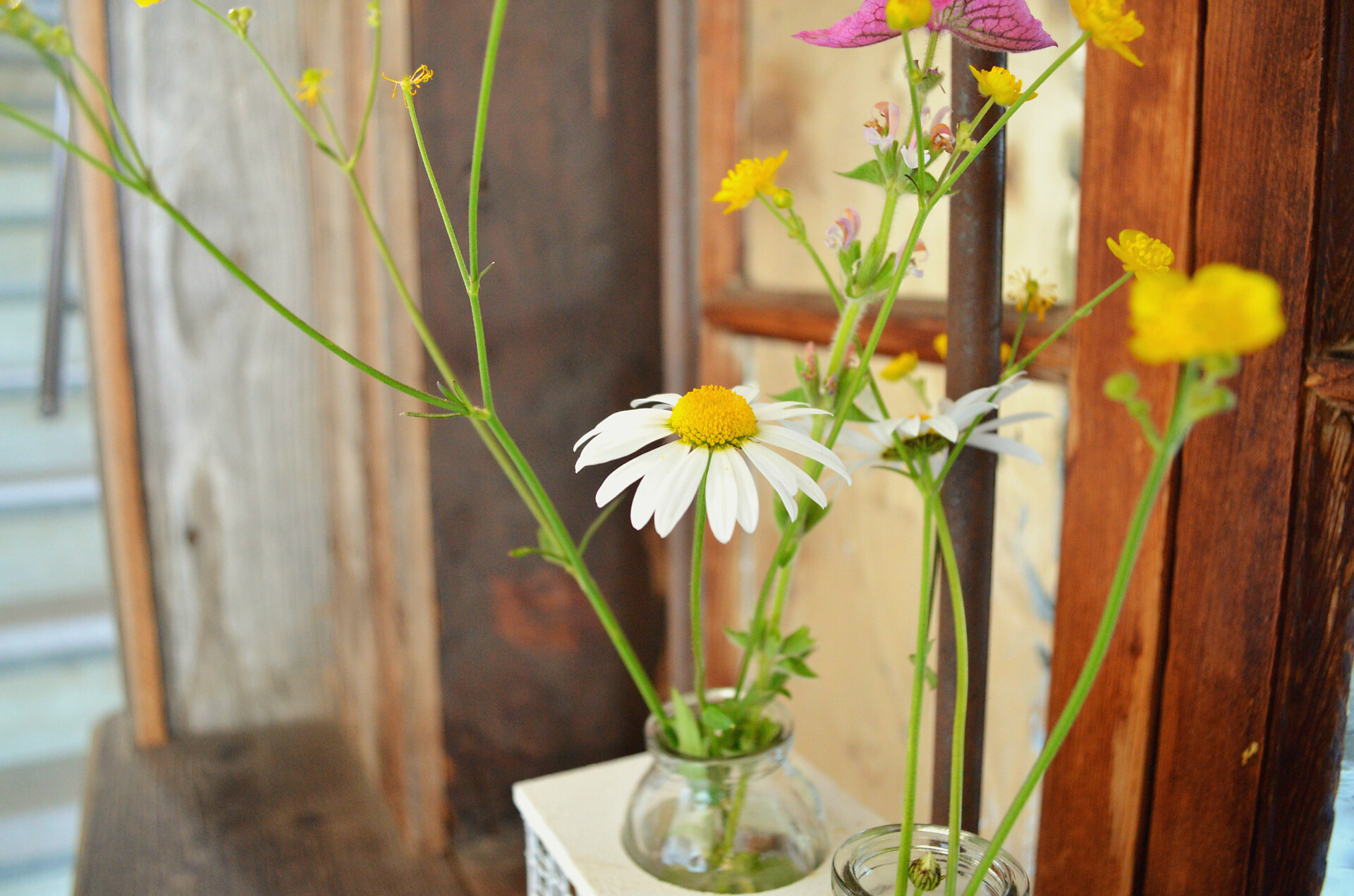 Blume