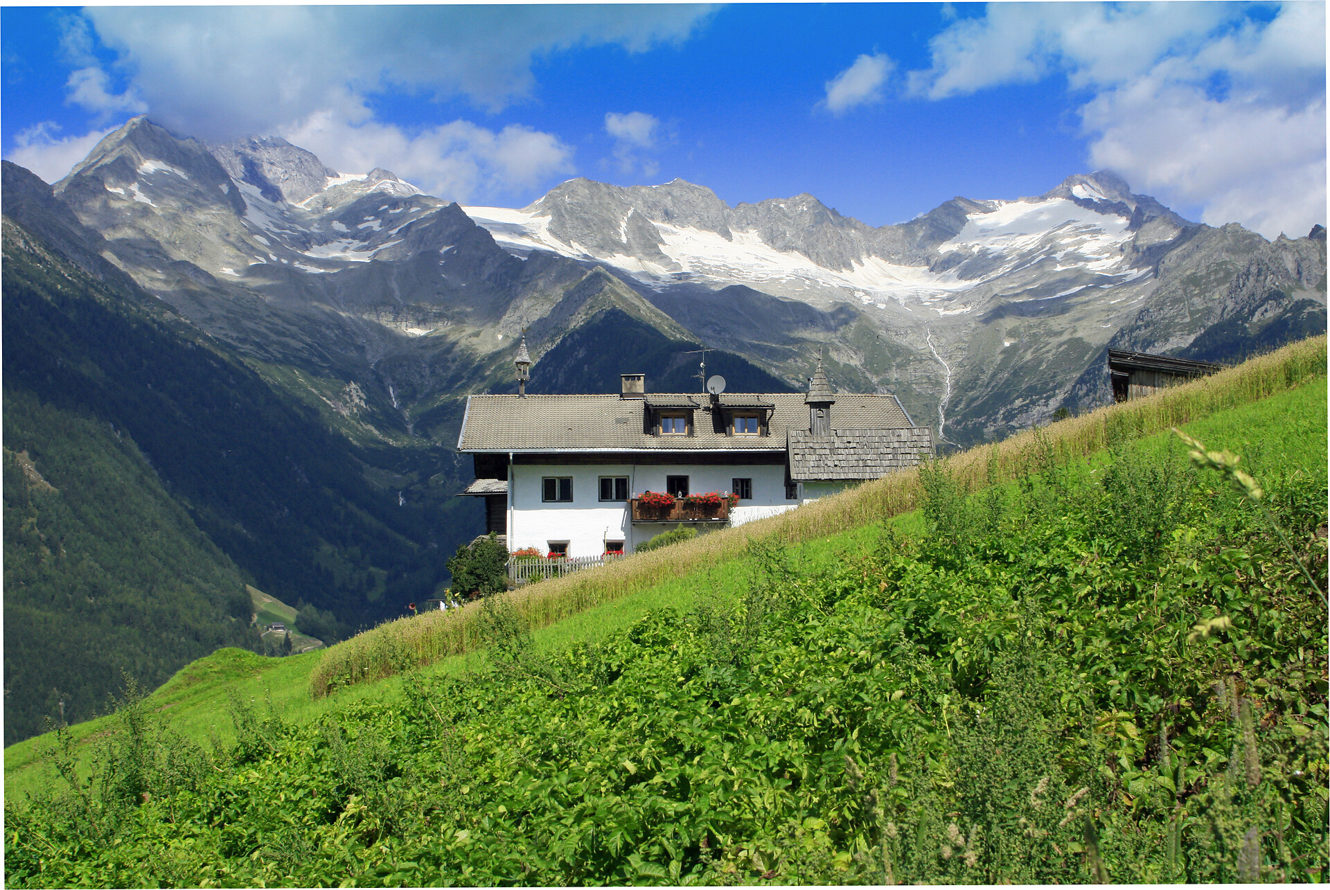 Obersteinerhof
