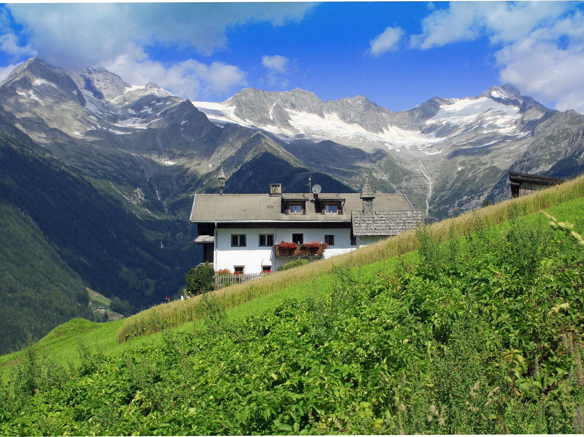 Obersteinerhof