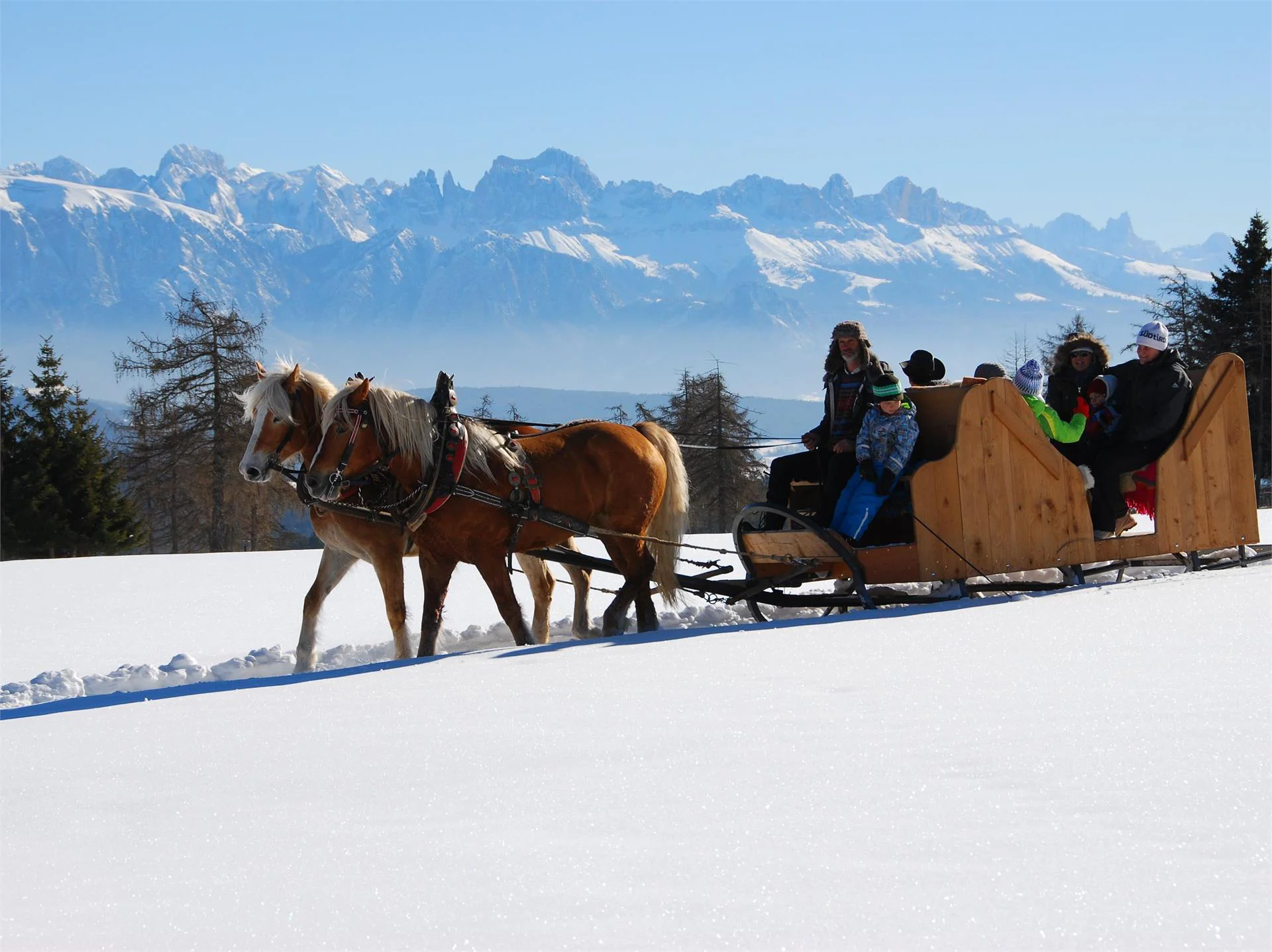 Oberfahrer Hof Jenesien/San Genesio Atesino 1 suedtirol.info