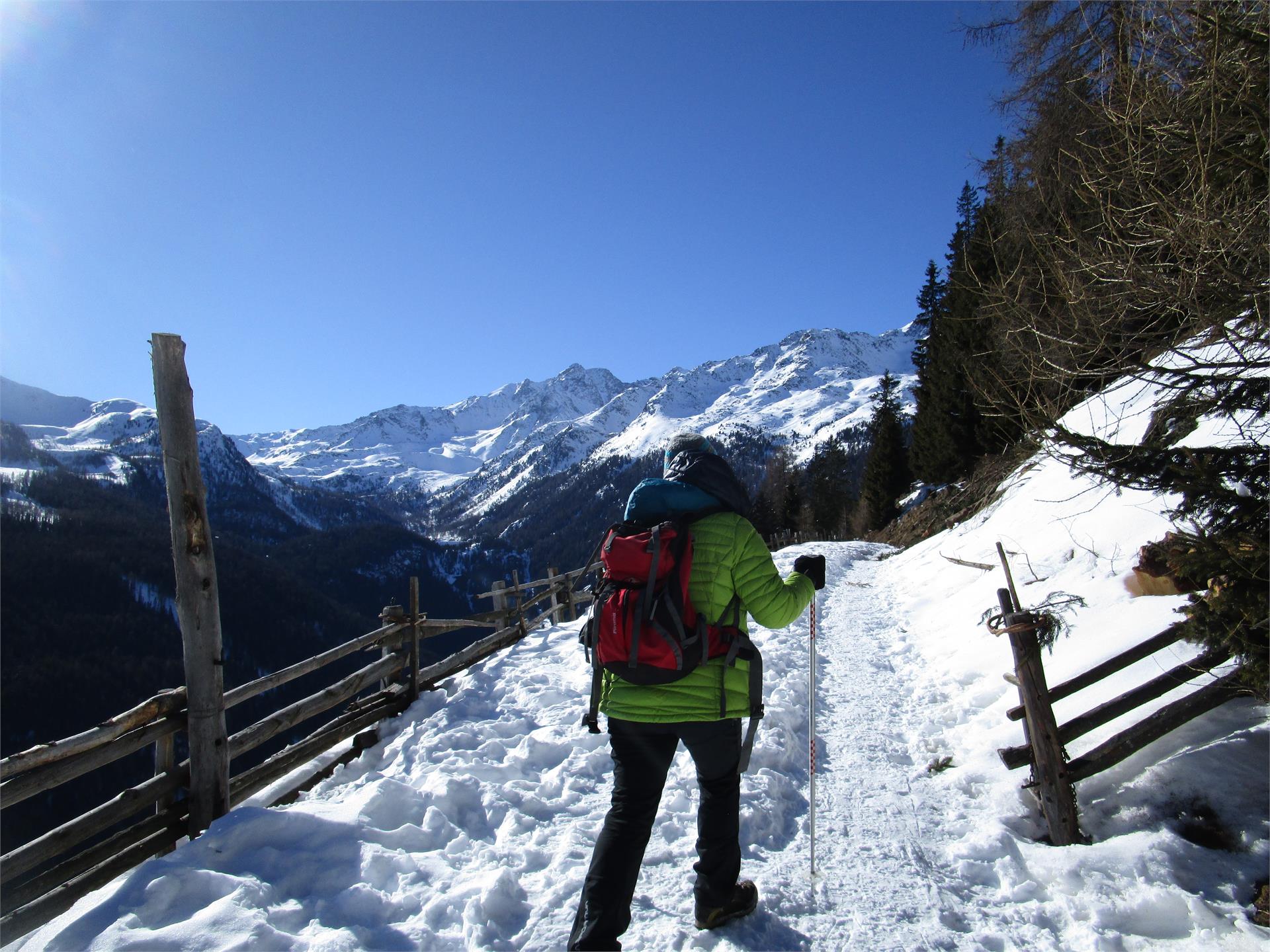 Oberhof Ulten 31 suedtirol.info