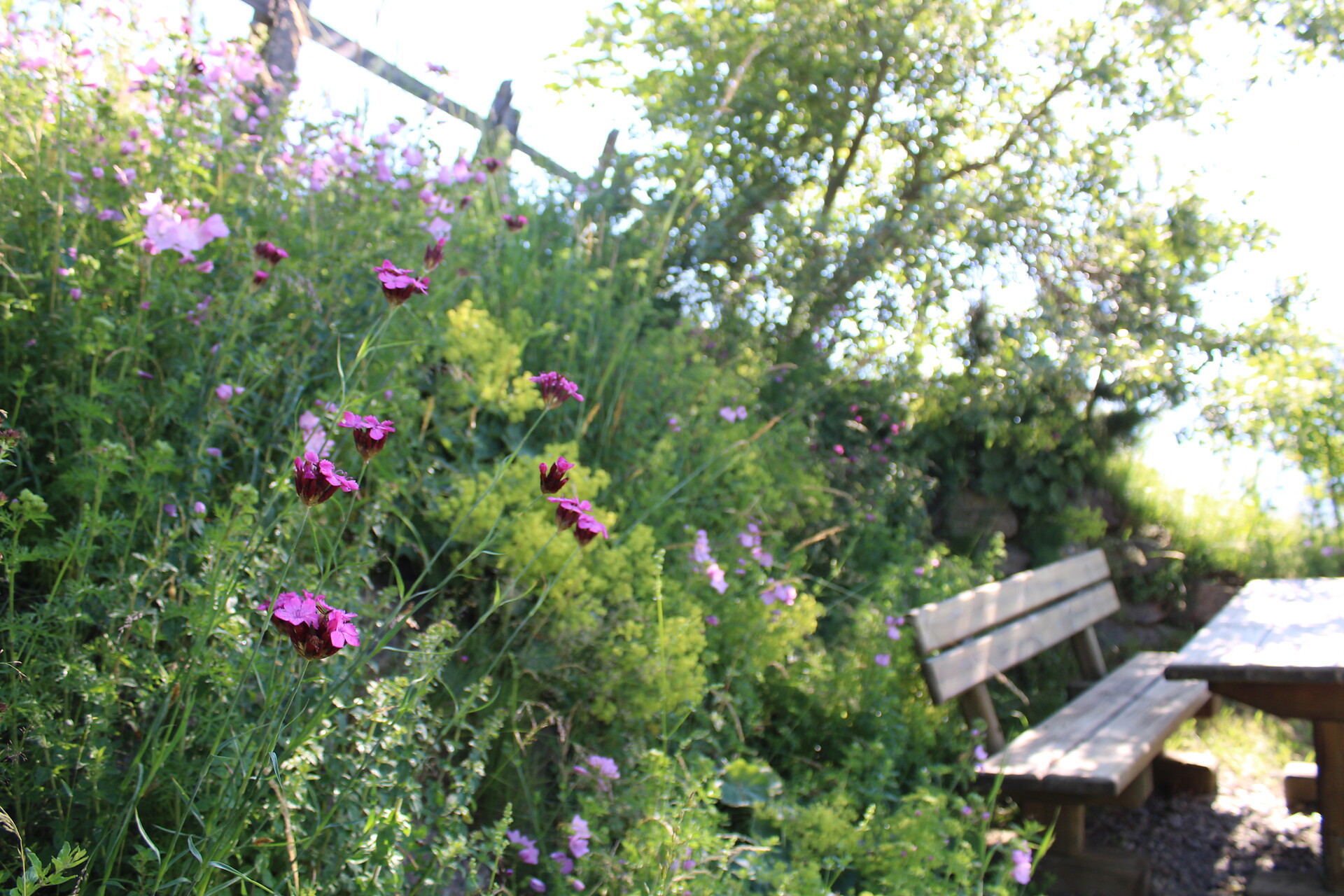 posto di riposo nel giardino