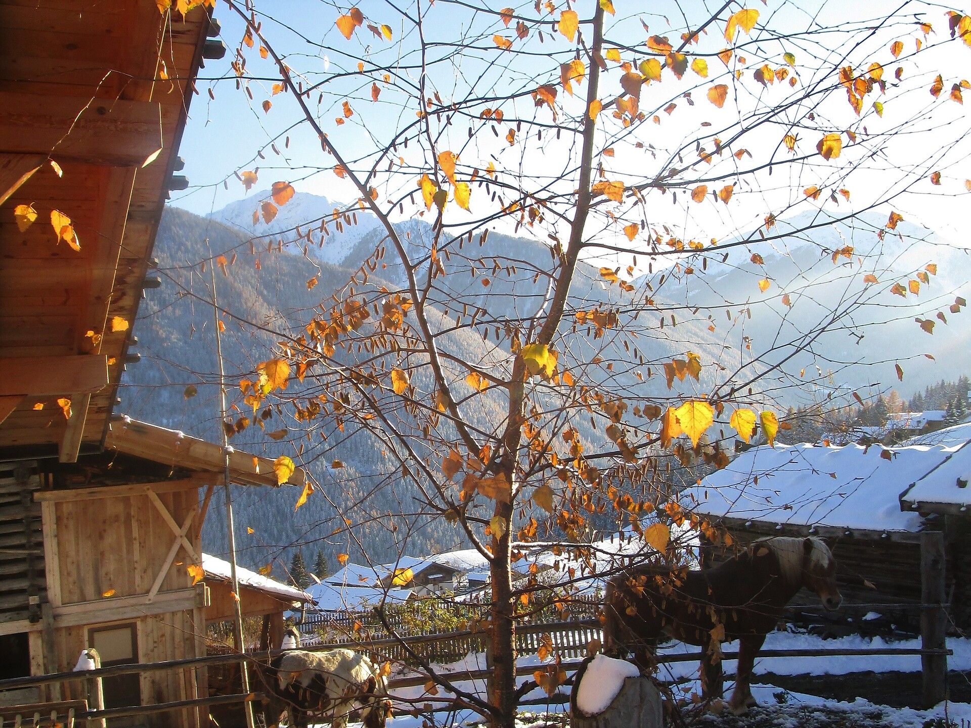 Oberhof in tardi autunno