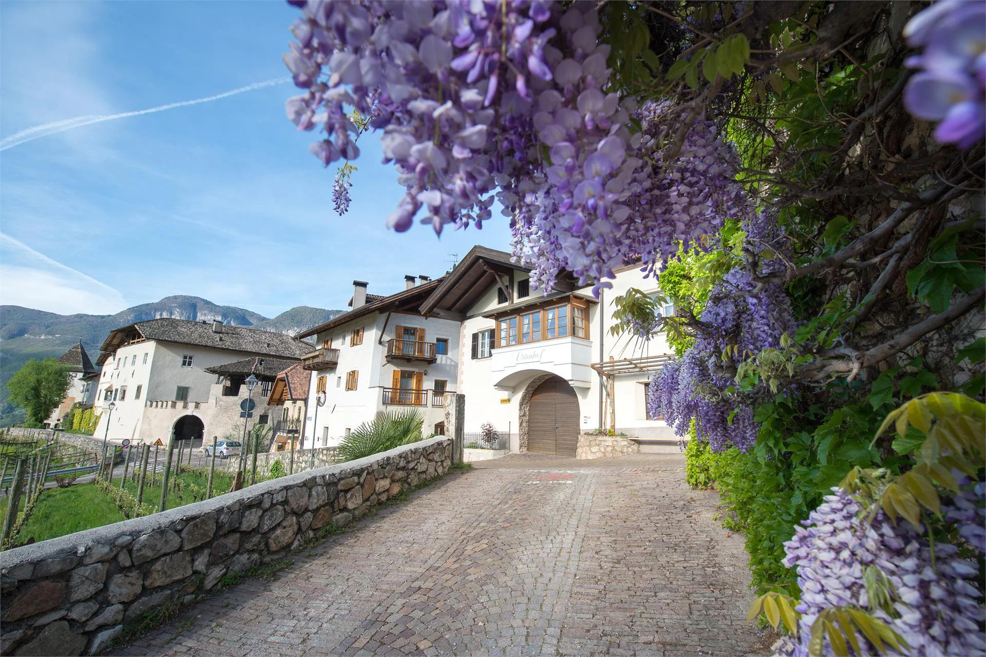 Ortenhof Cortaccia sulla Strada del Vino 3 suedtirol.info