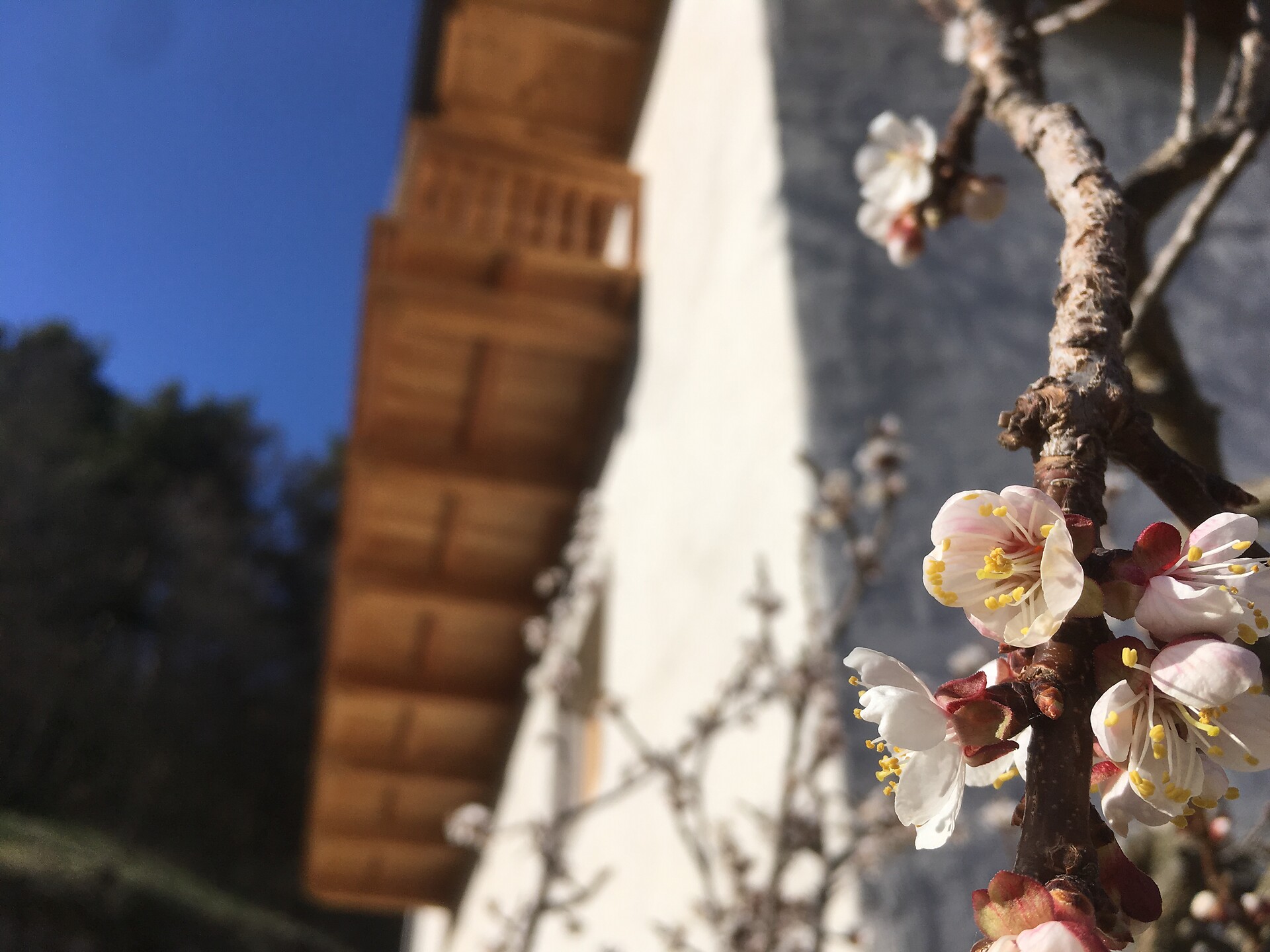 Obersteinerhof in Klobenstein am Ritten Ferienwohnung Urlaub am Bauernhof