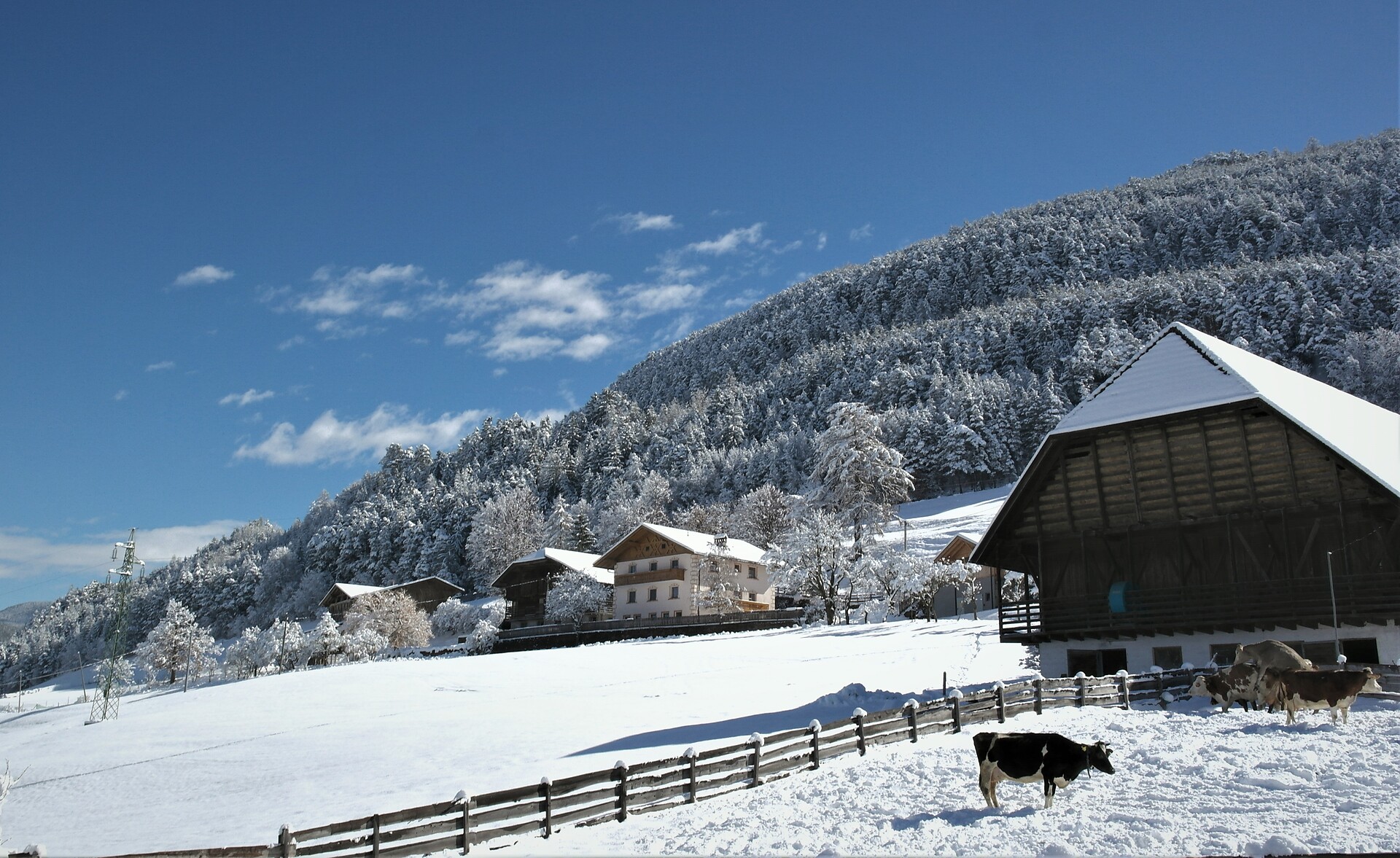 Obermalid im Winter