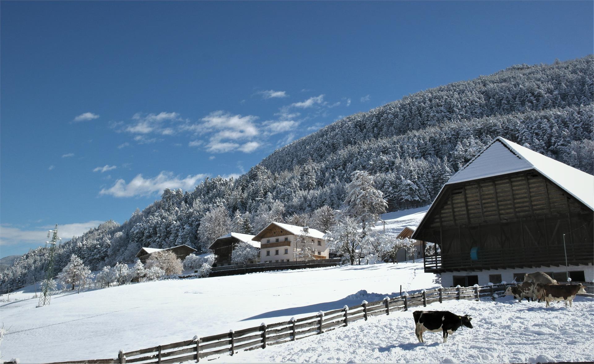 Obermaliderhof Kastelruth 3 suedtirol.info