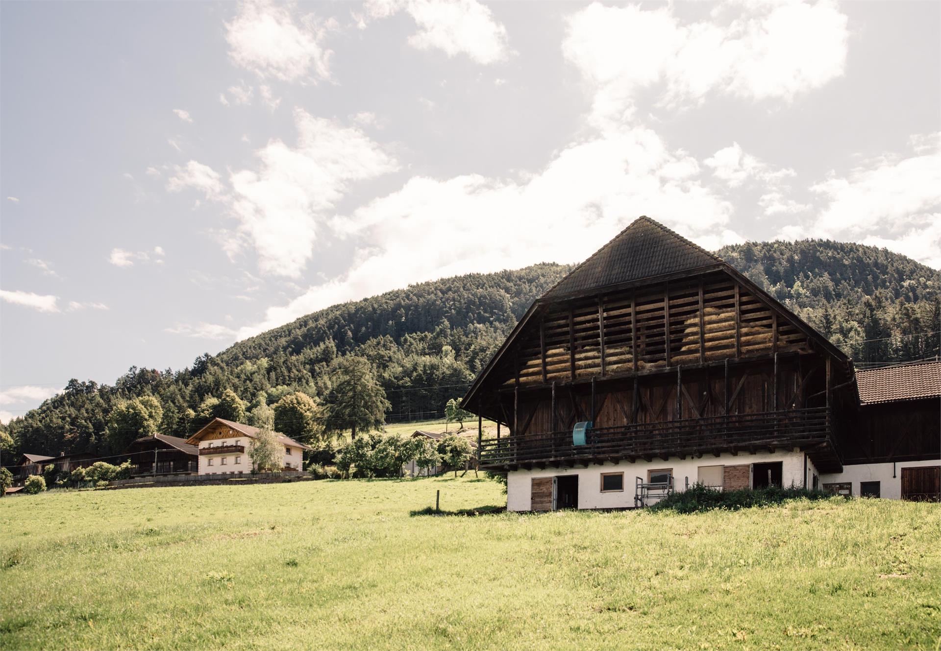 Obermaliderhof Kastelruth 16 suedtirol.info