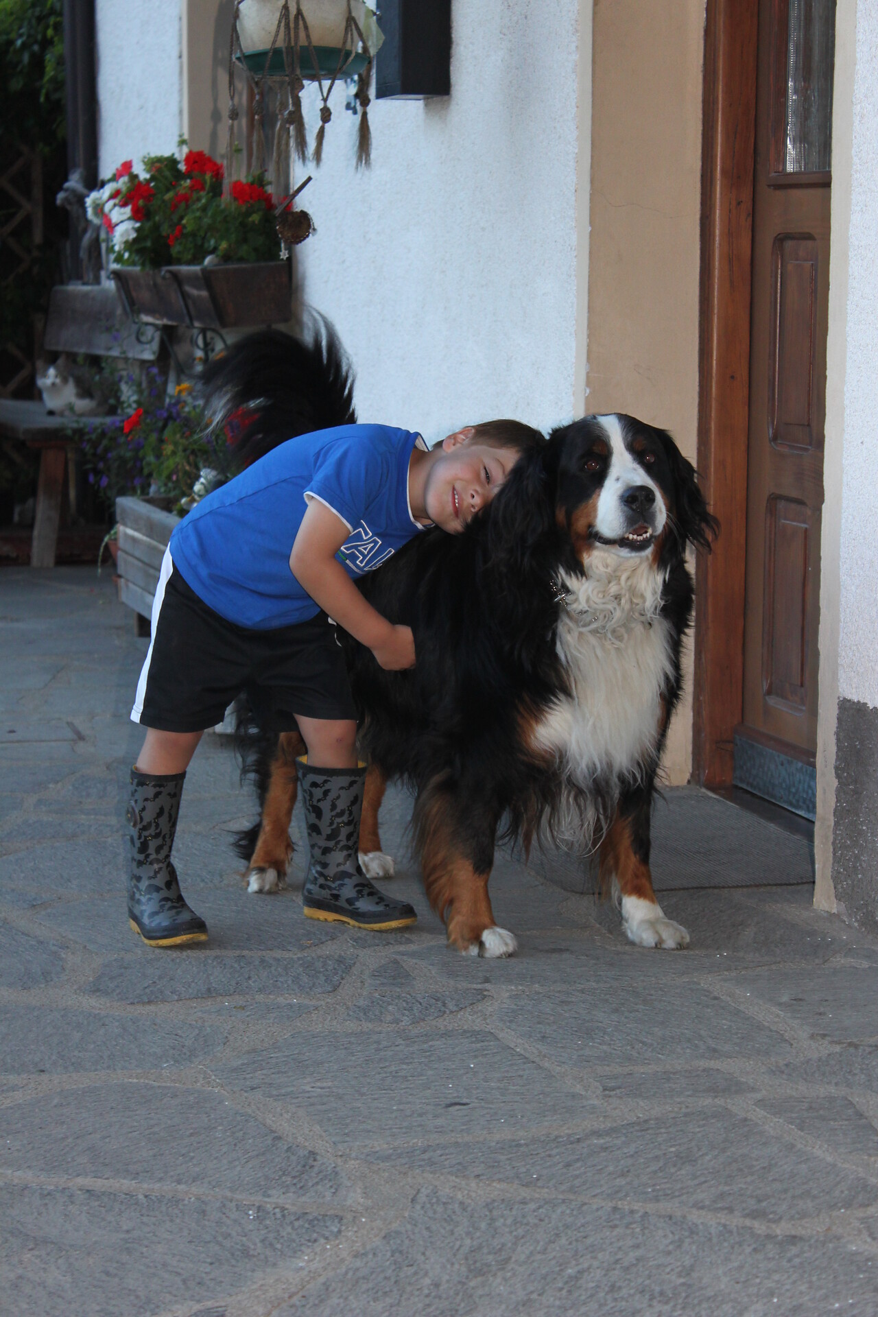 Hund